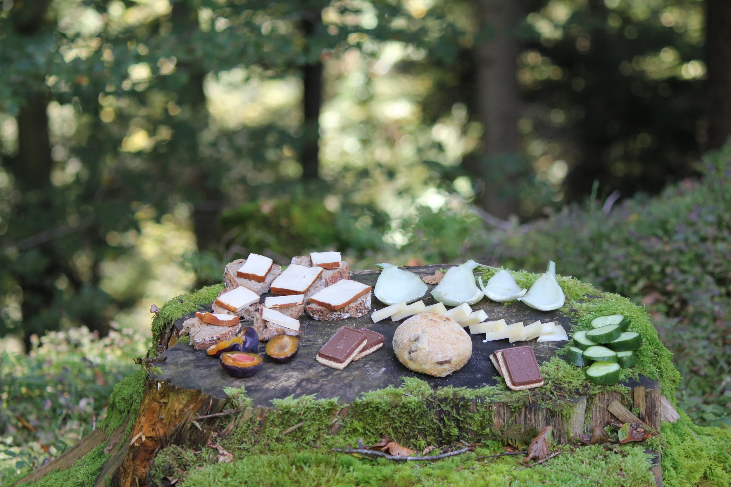 Verschiedene Käse, Aufstriche, Brot, Obst und Gemüse auf einer Baumstamm-Scheibe in einem Wald.