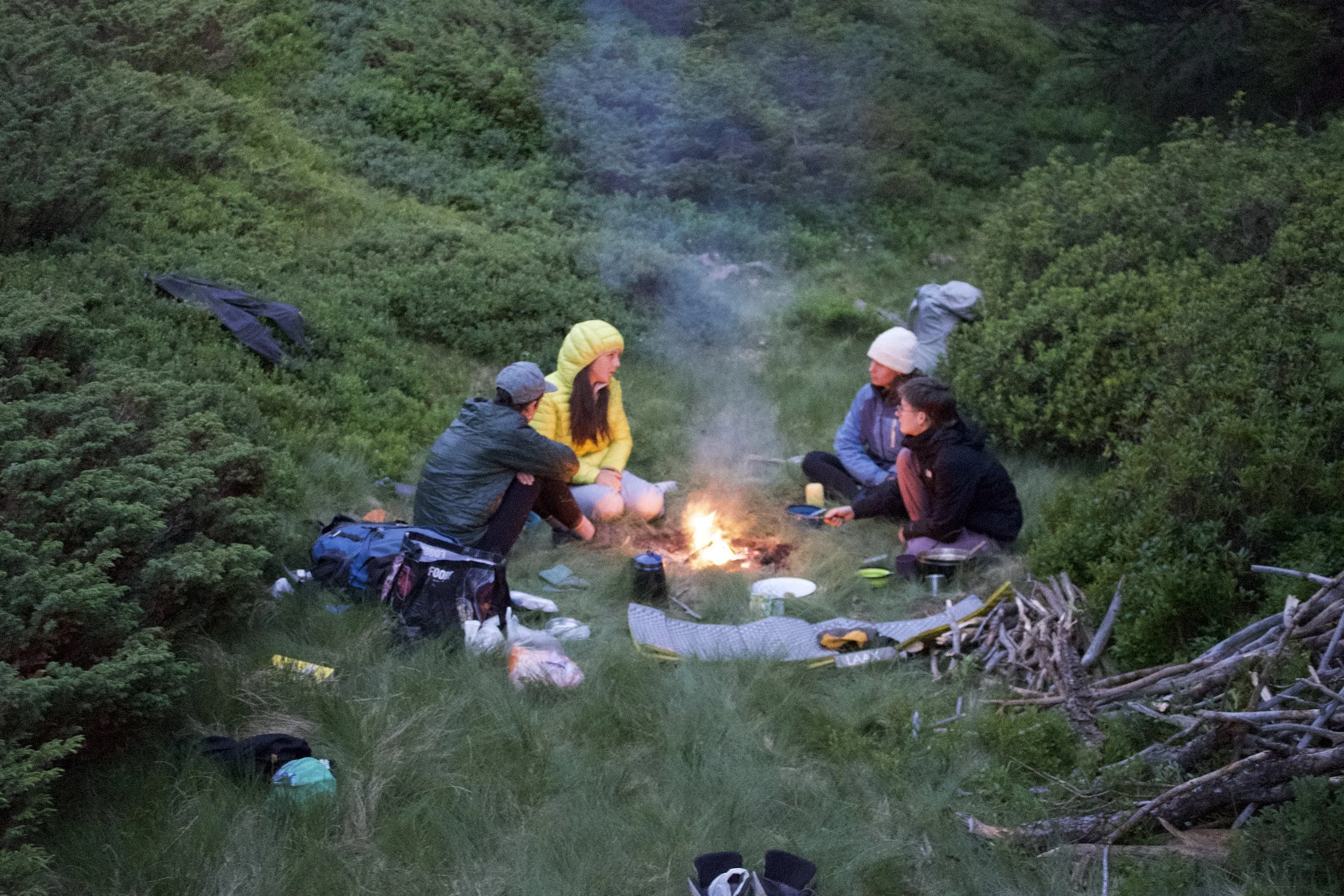 Vier Menschen sitzen am Lagerfeuer in einem grünen, bewaldeten Gebiet, in der Abenddämmerung.