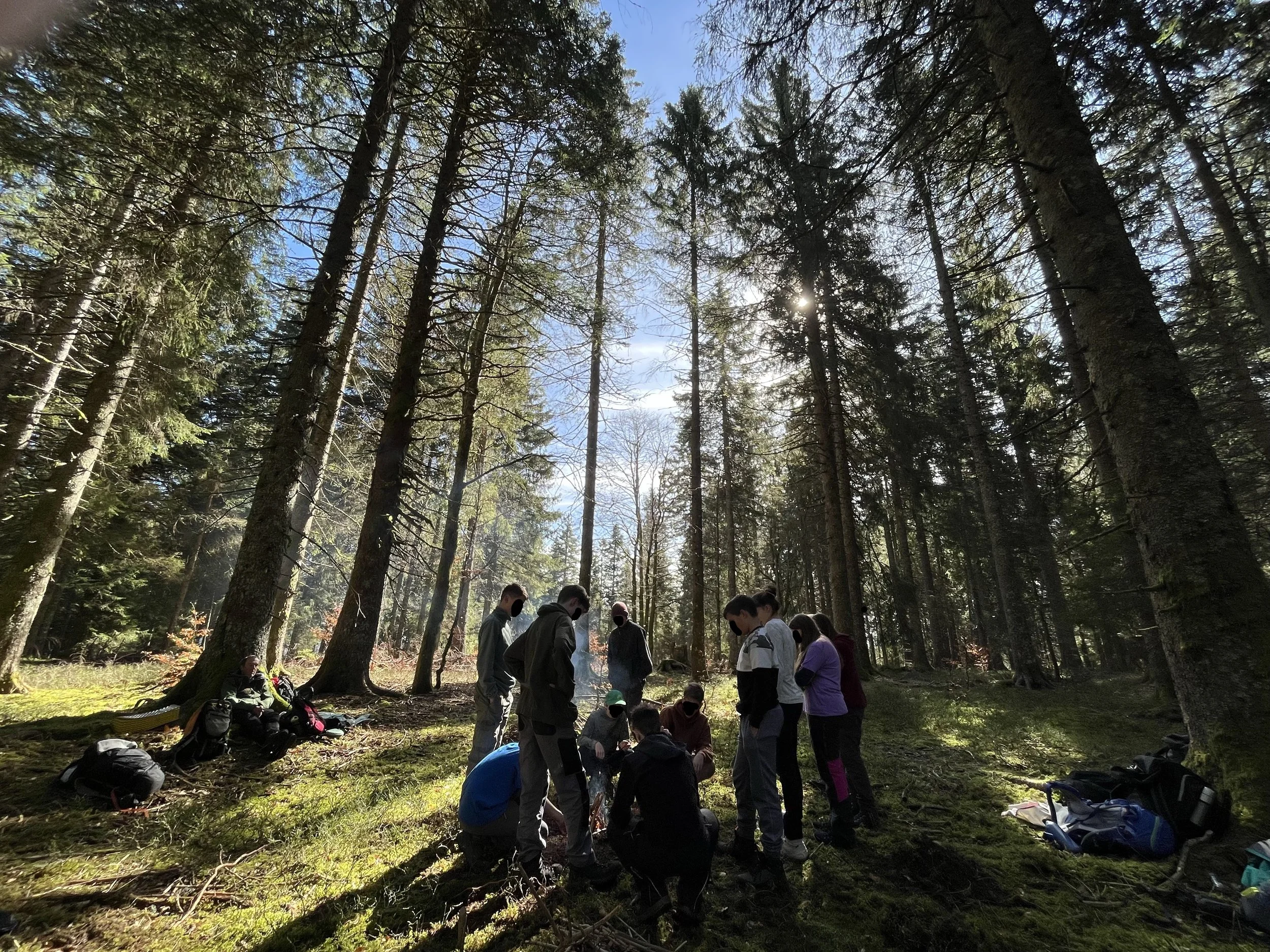 Gruppe von Menschen im Wald, einige sitzen, andere stehen, umgeben von hohen Bäumen, mit Rucksäcken auf dem Boden, sonniger Tag.
