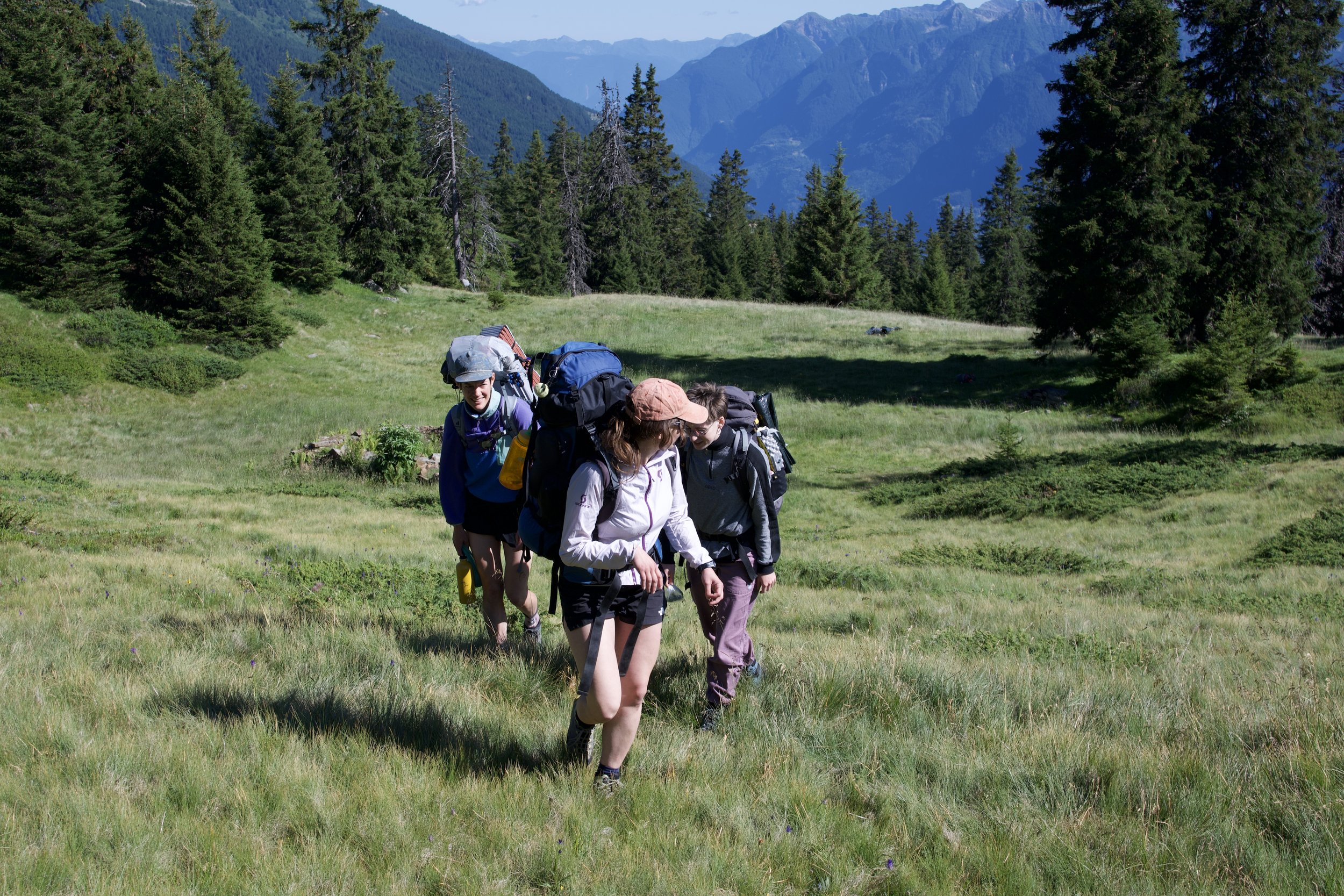 Vier Personen wandern auf einer grünen Wiese in einem Waldgebiet mit Bergen im Hintergrund.