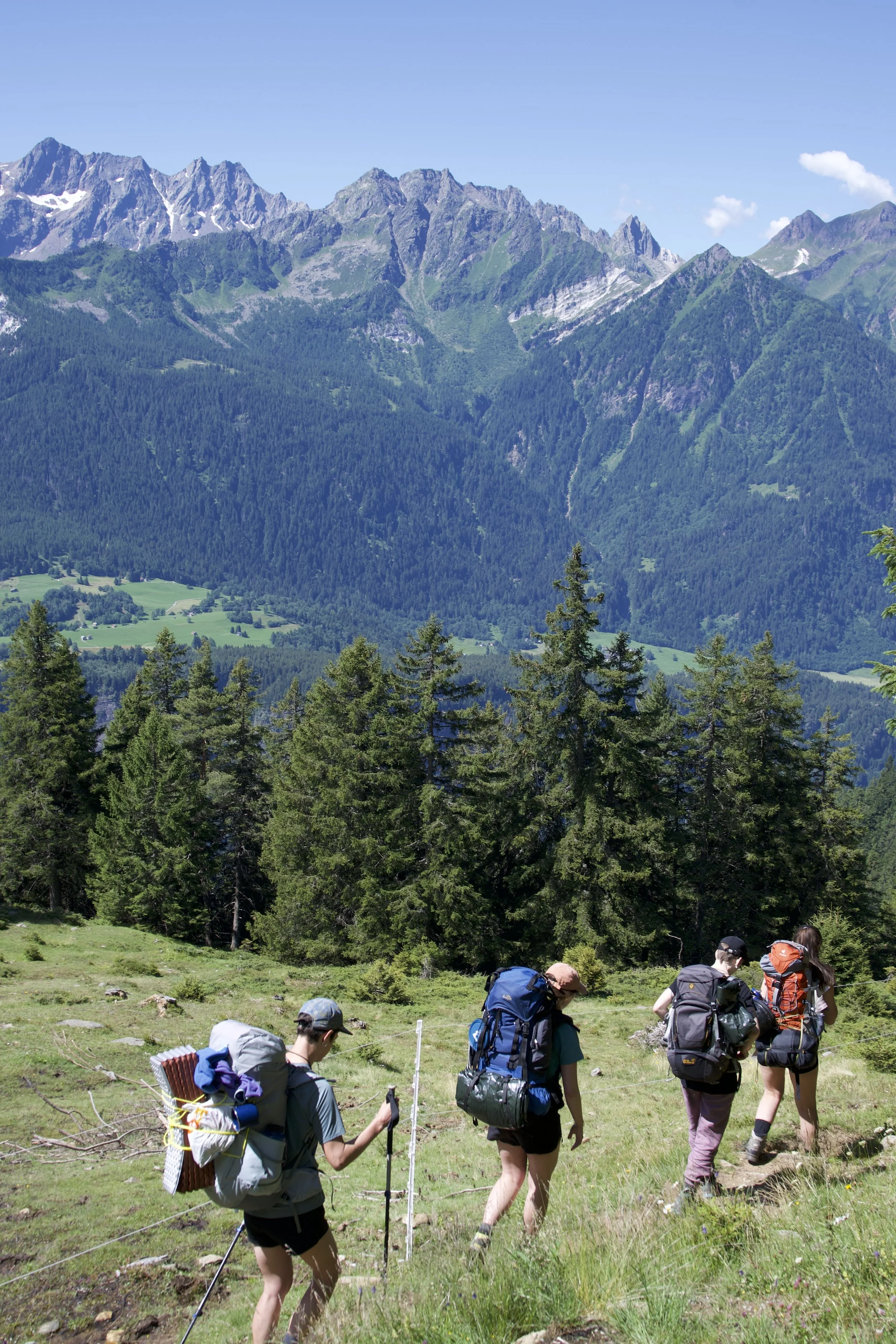 Vier Wanderer in Rucksack auf einem grünen Feld mit Bergen und Tannen im Hintergrund, sonniger Tag.