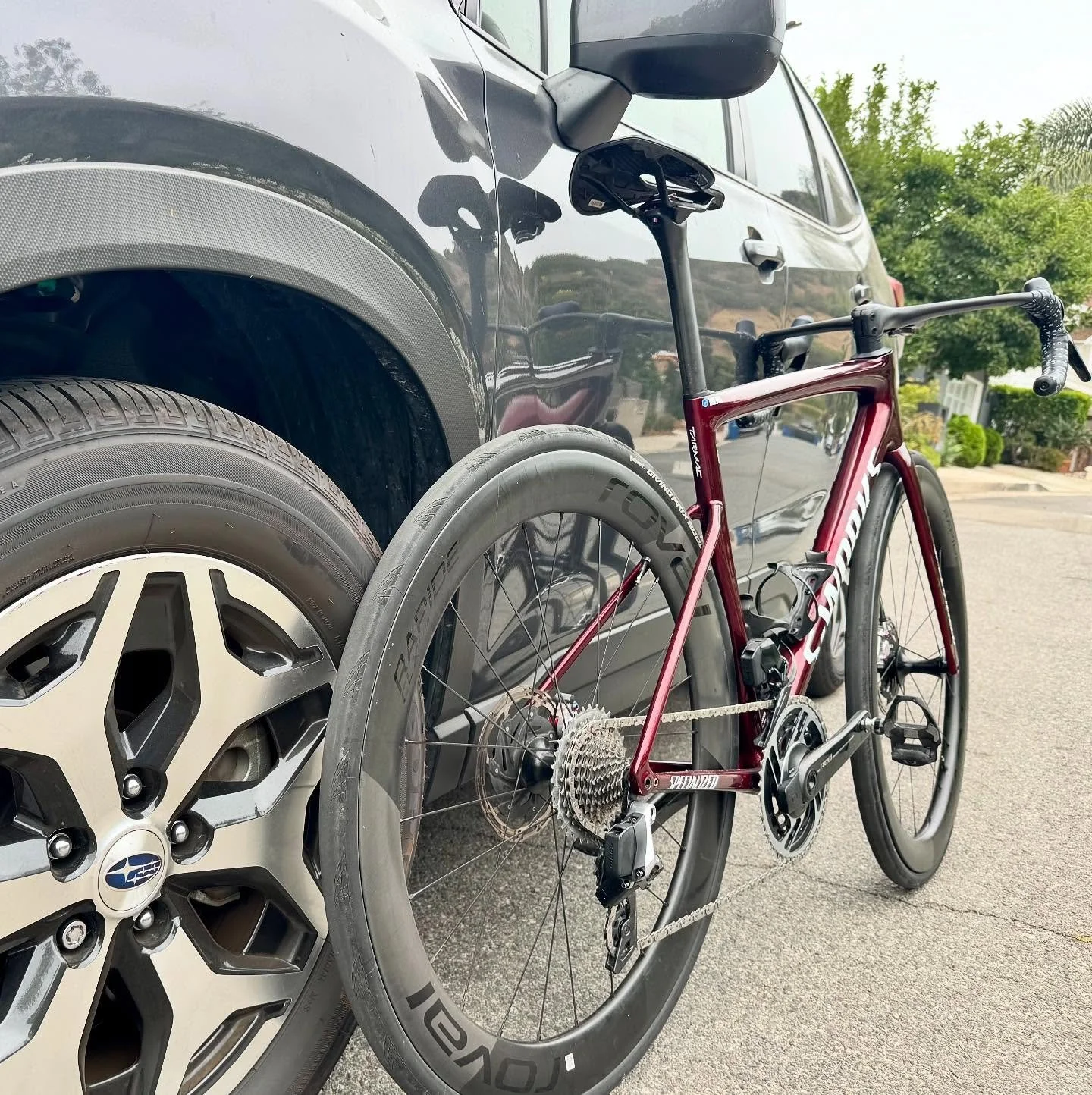 Wednesday morning rides. 

#subaru #specialized #santamonica #tarmacsl8 #sram #haku #Kamukamo-Shikamo-Nidomokamo!