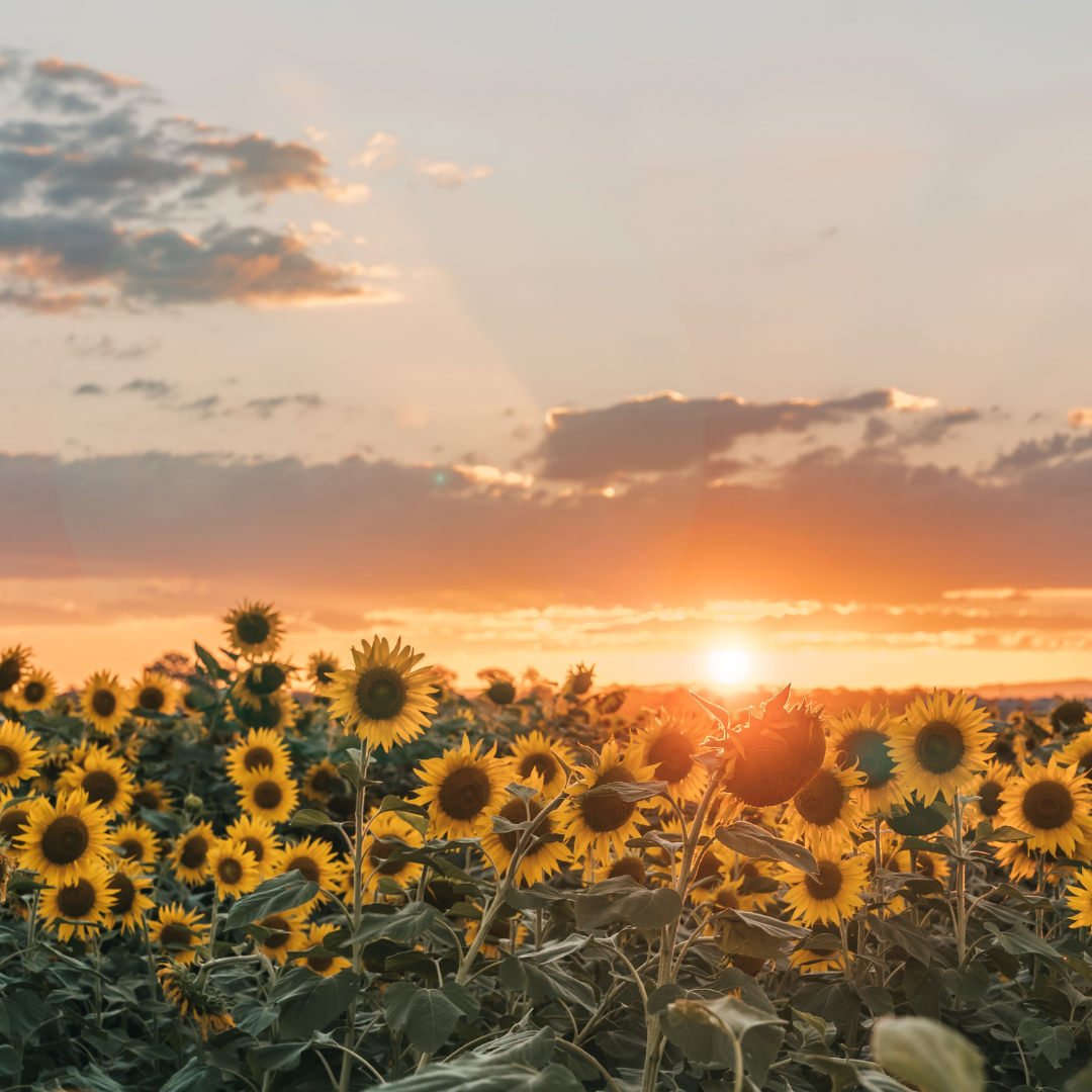 The Best Day and Time to Send Marketing Emails