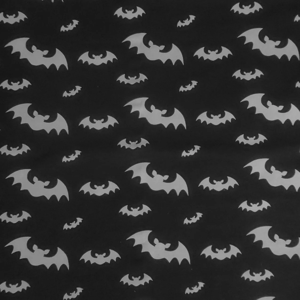 Bats.jpg (Kopie) (Kopie) (Kopie)