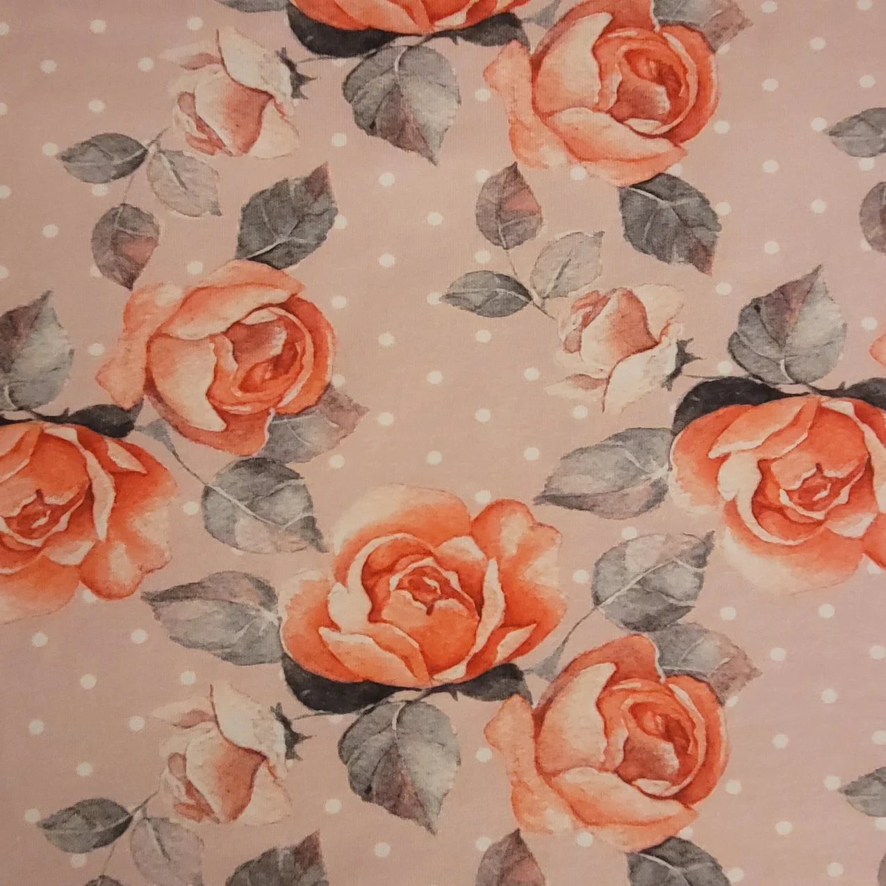 Rosen.jpg (Kopie) (Kopie) (Kopie)