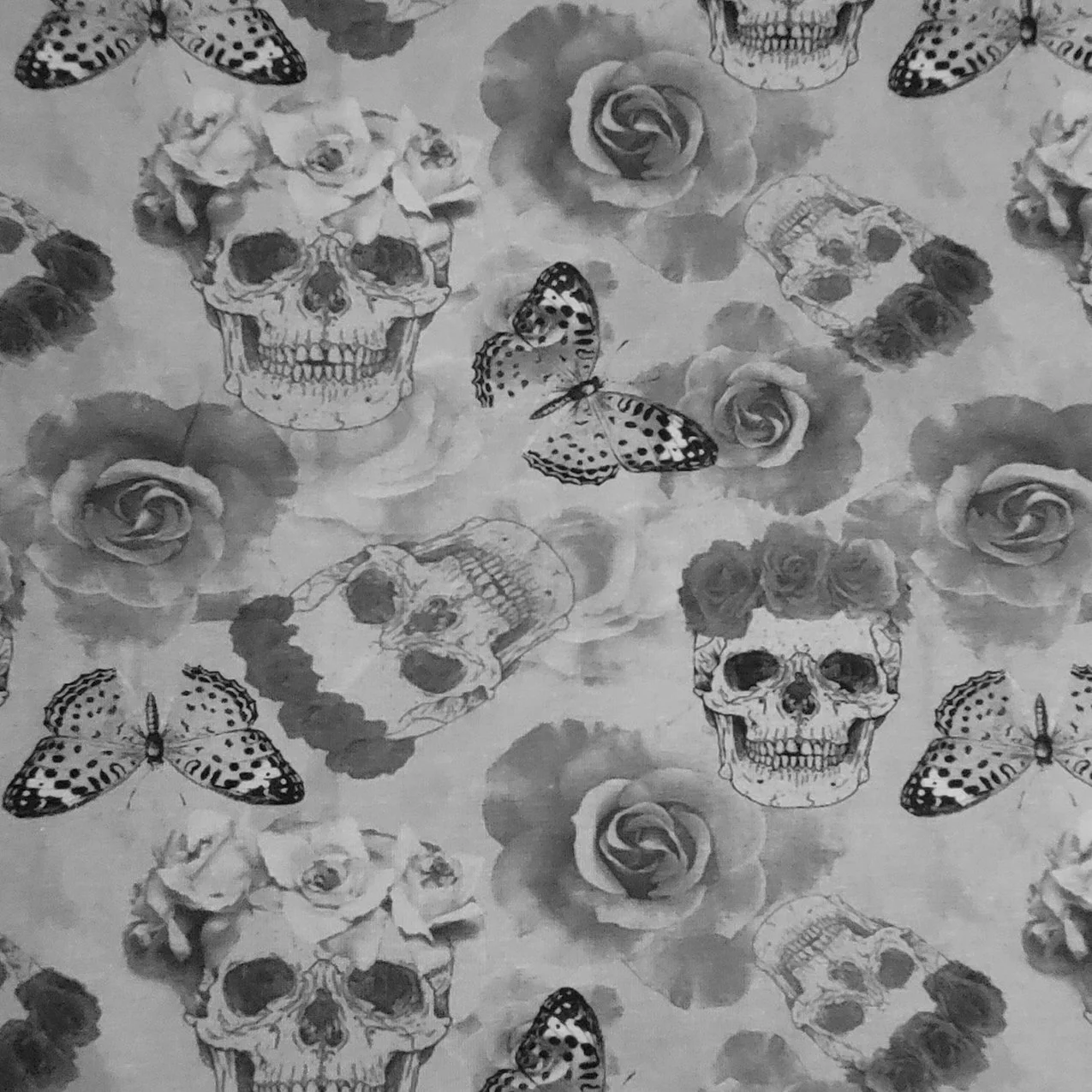 Skull & Butterfly.jpg (Kopie) (Kopie) (Kopie)