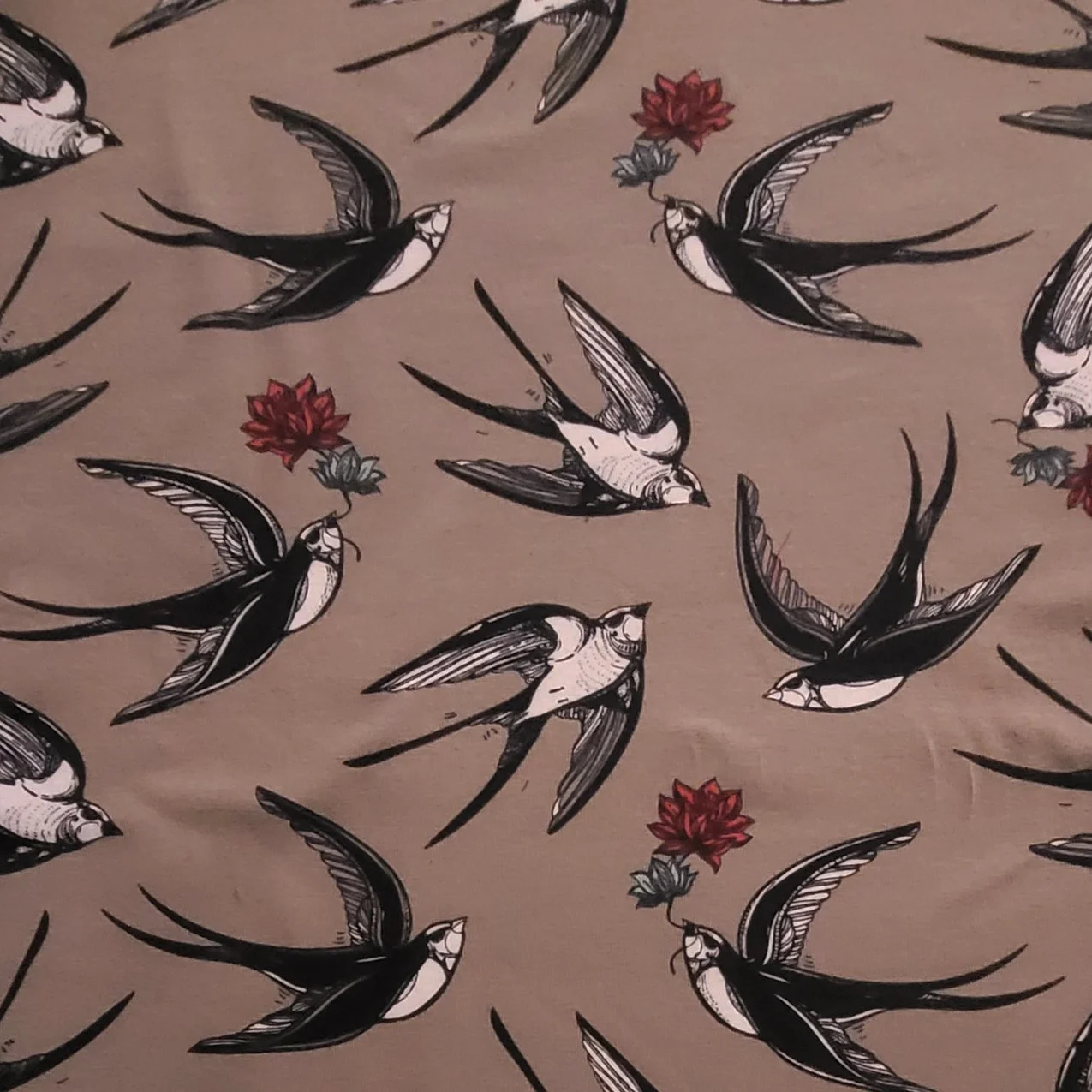 Schwalben machen den Sommer.jpg (Kopie) (Kopie) (Kopie)