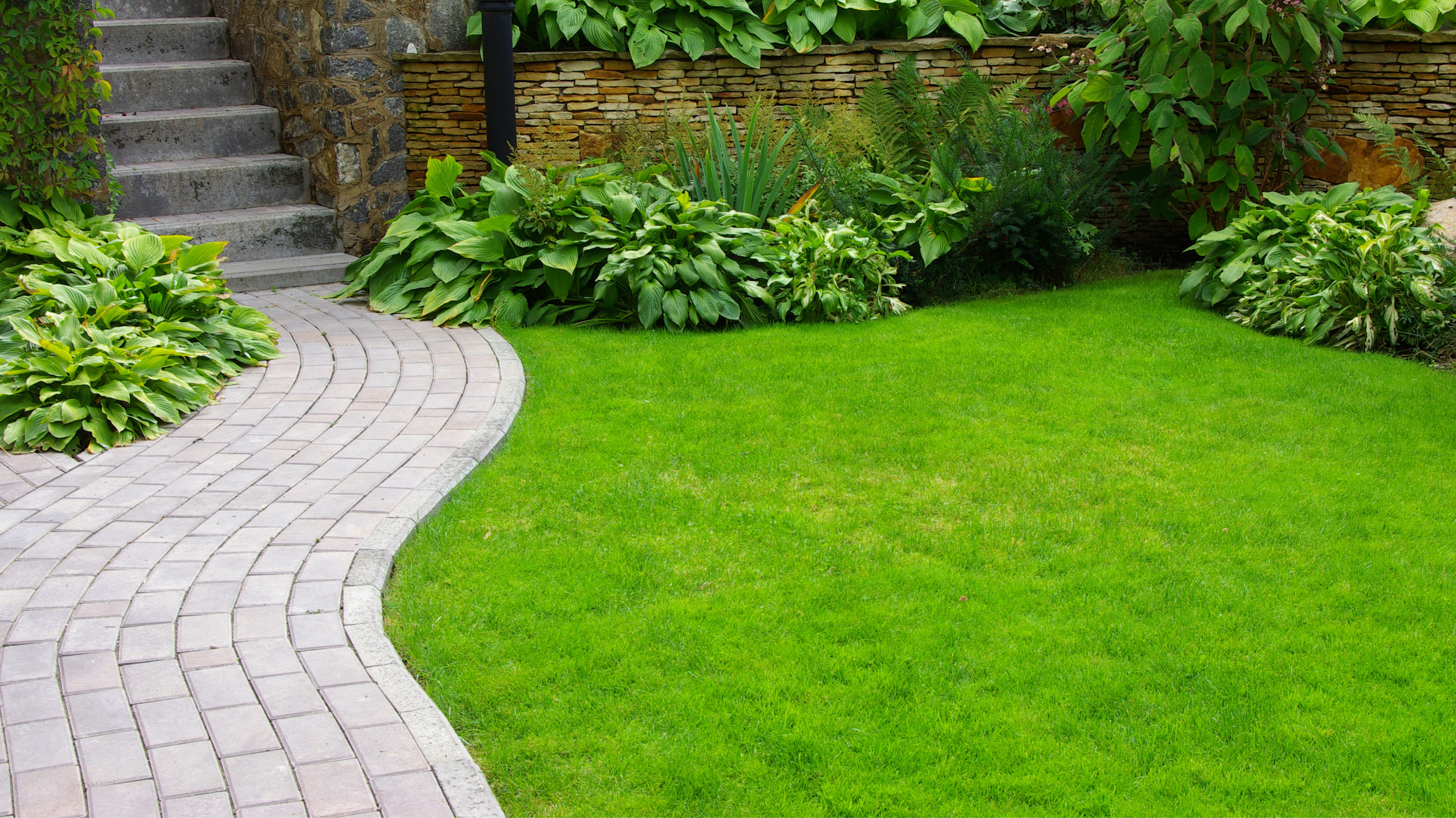 Ein gepflegter Garten mit grünem Rasen, einer gepflasterten Wegkurve, mehreren großen und kleinen Sträuchern sowie eine Steintreppe im Hintergrund.