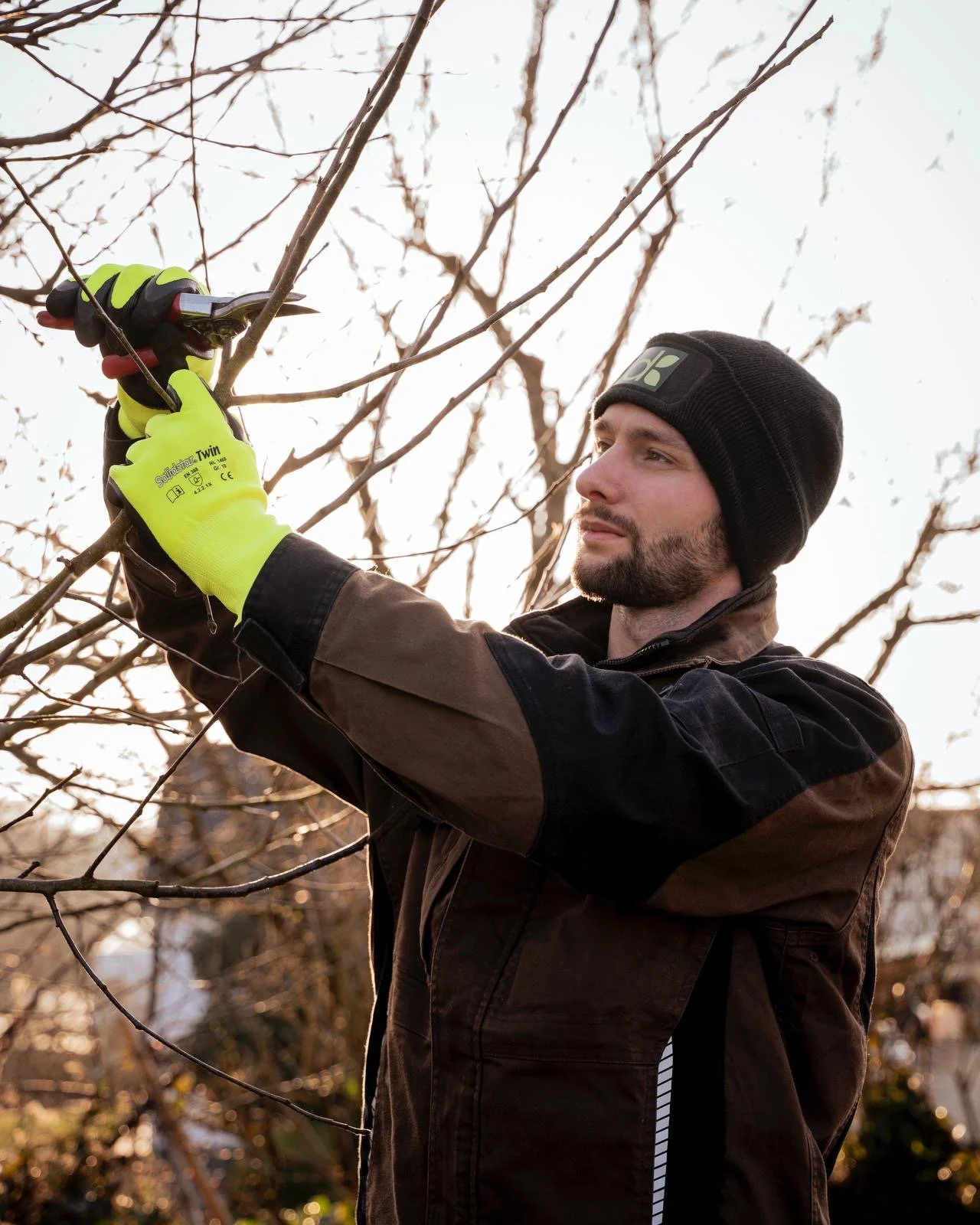 Mann schneidet Äste eines Baumes mit einer Astschere im Freien bei Sonnenuntergang, trägt warme Kleidung und gelbe Handschuhe.