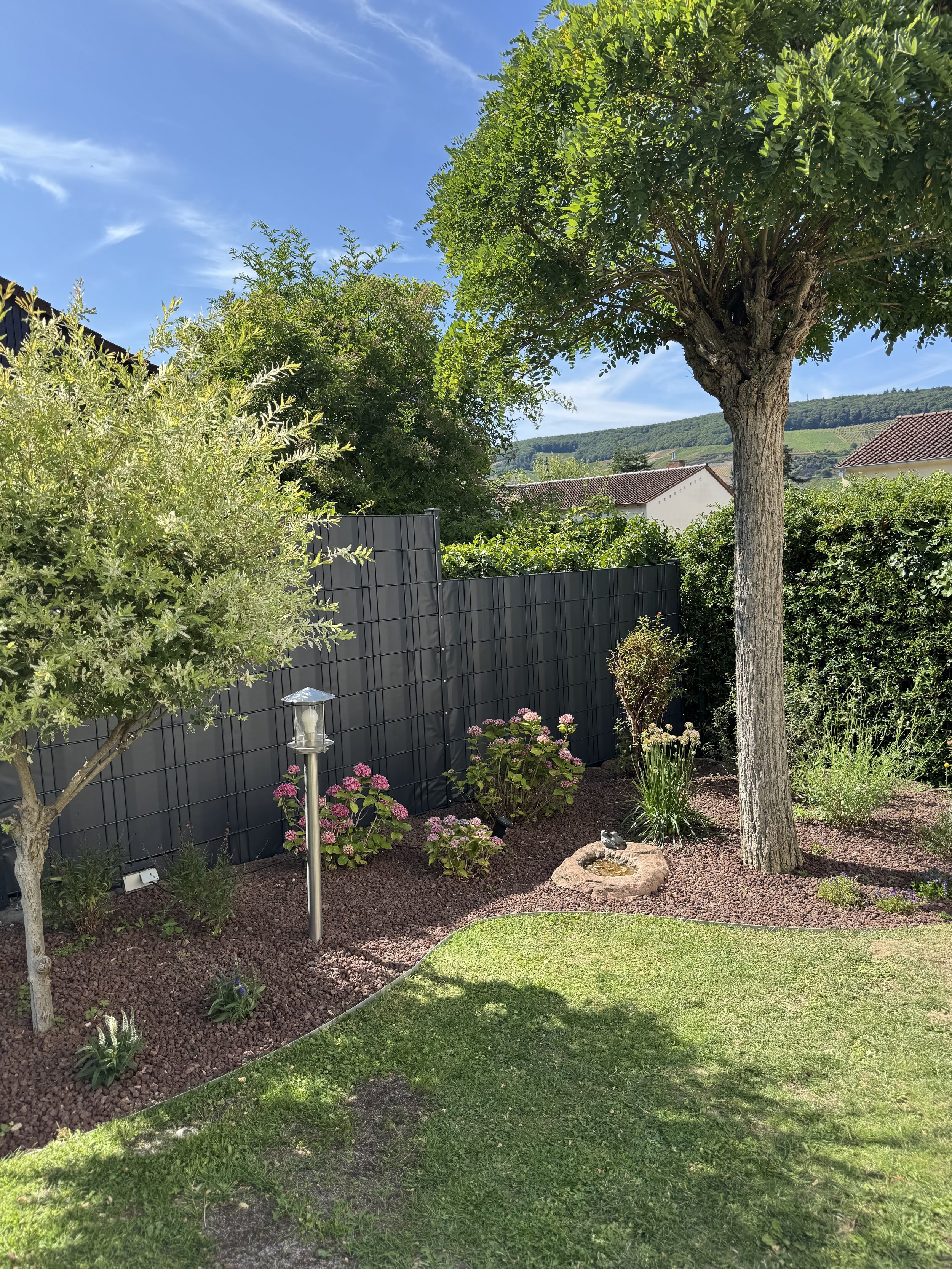 Garten mit Bäumen, Sträuchern, Blumen, Rasenfläche und einer schwarzen Zaunanlage unter blauem Himmel.