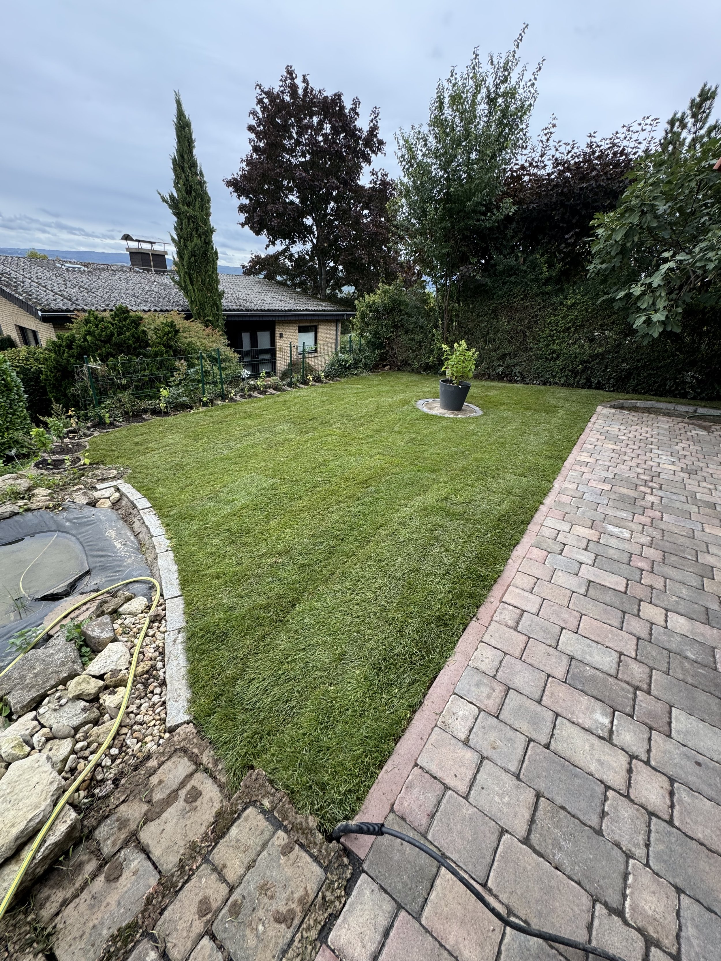 Garten mit grünem Rasen, Bäumen und einer gepflasterten Terrasse.