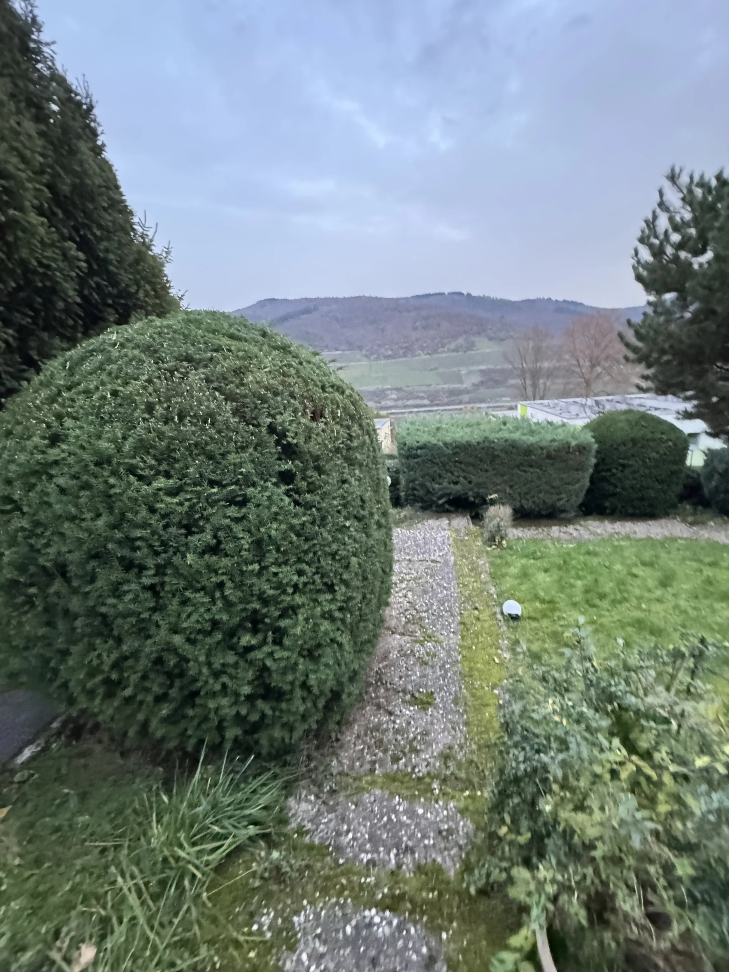 Garten mit großen, runden, grünen Sträuchern und einer bepflanzten Fläche, im Hintergrund Berge und bewölkter Himmel.