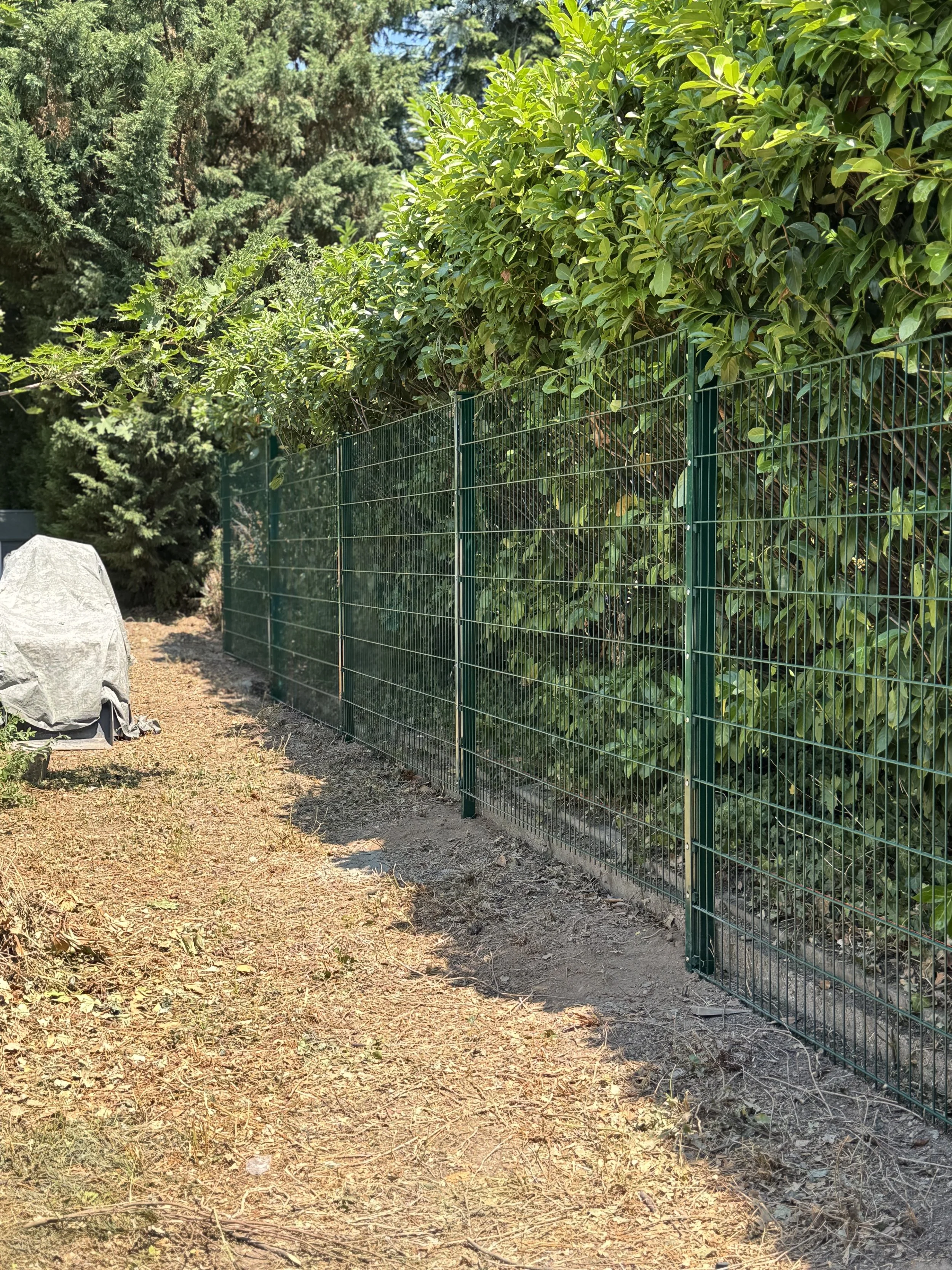 Grüner Metallzaun neben einem dichten Busch, auf dem Boden liegen Blätter und ein graues Objekt, wahrscheinlich eine Abdeckung.