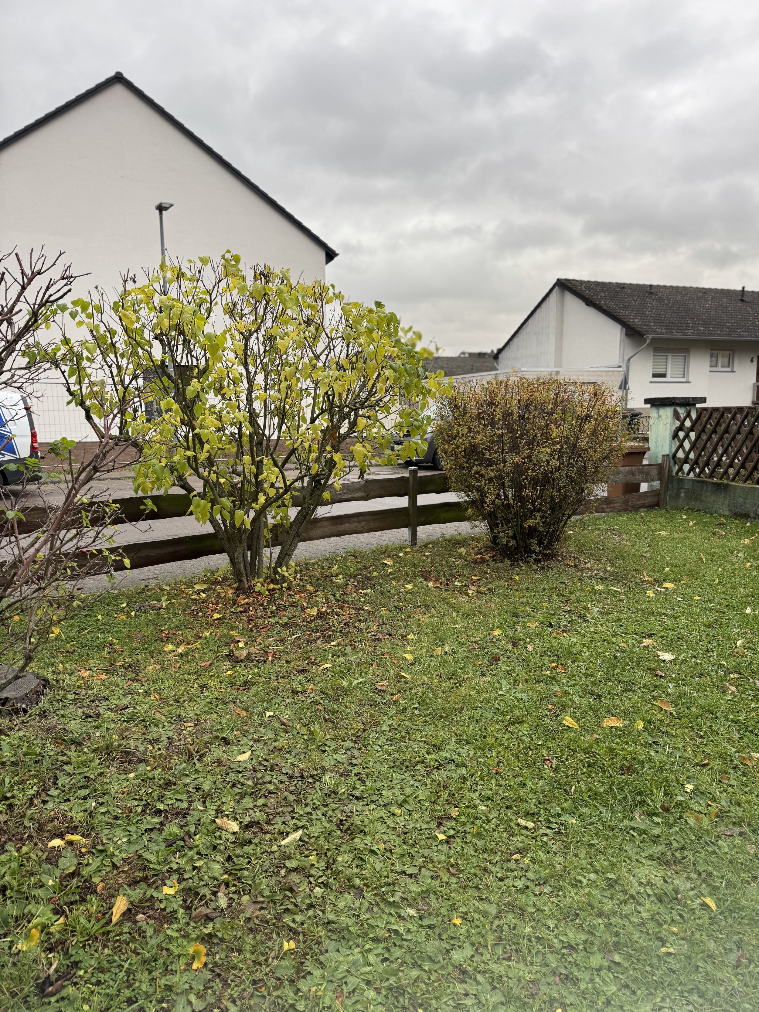Garten mit gras, Sträuchern und Bäumen, umgeben von Gehege und an Häusern mit weißen Wänden und schwarzen Dächern unter bewölktem Himmel.