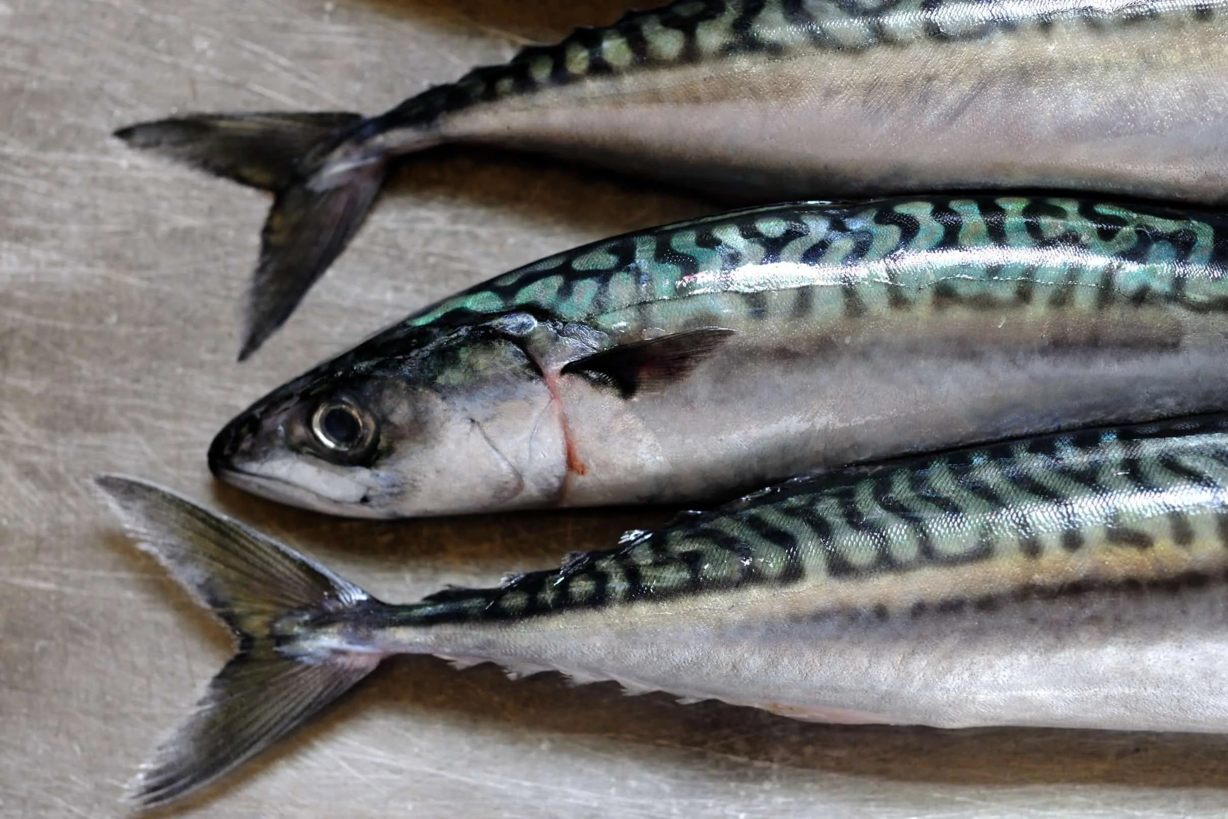 Reggies Raw Whole Ocean Fresh Mackerel - 1kg
