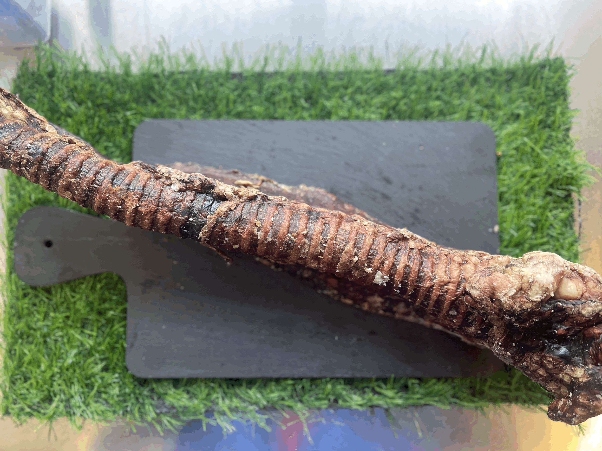 whole Beef Trachea