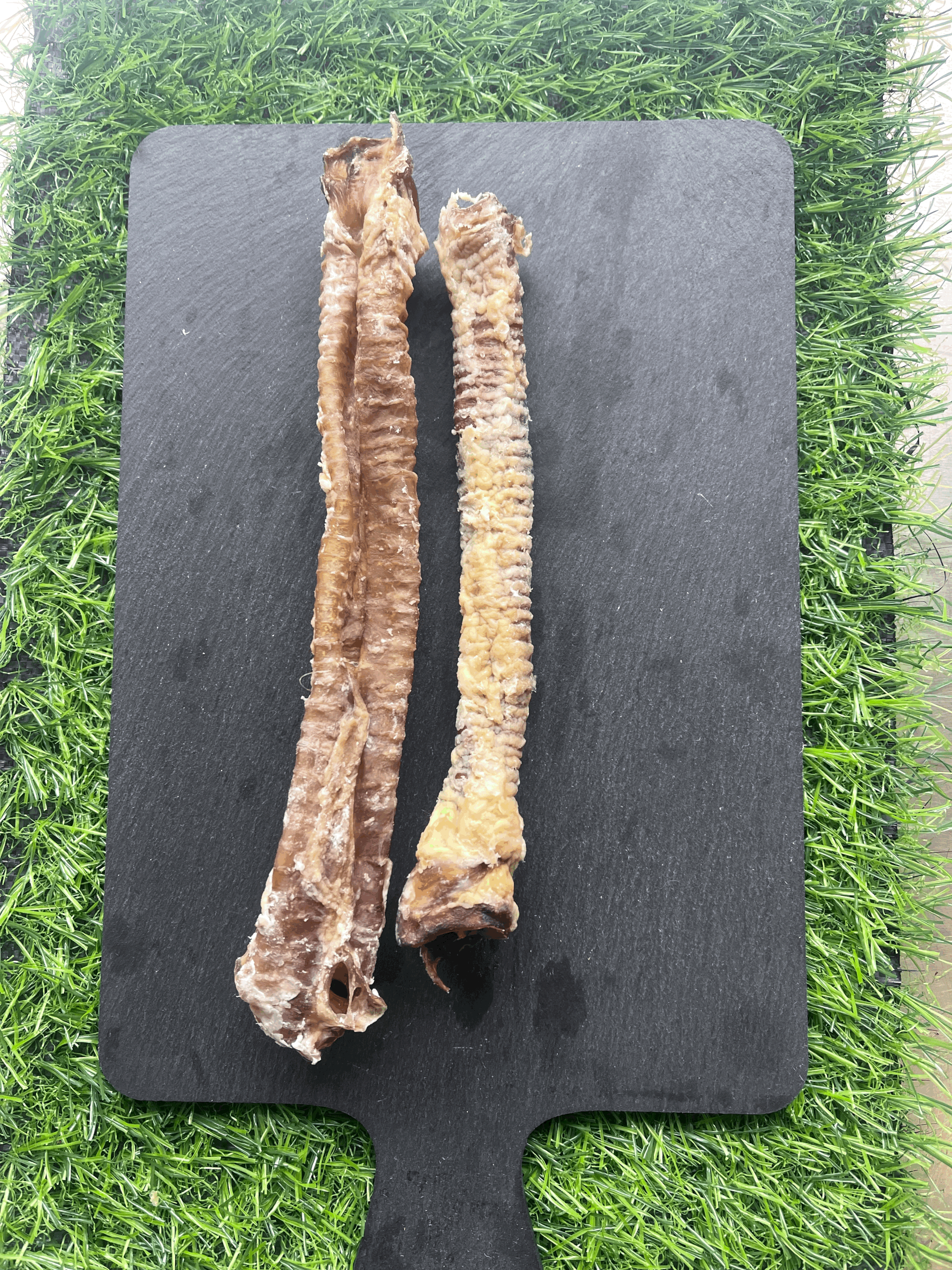 Lamb Trachea