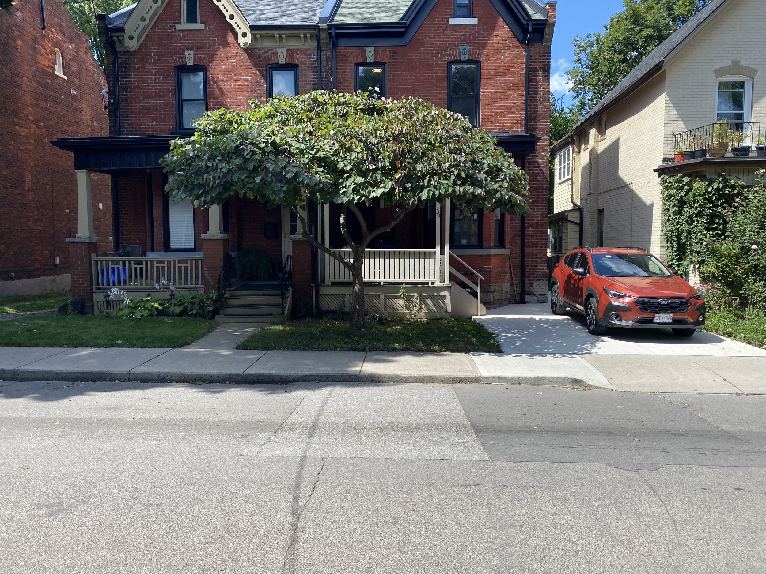 After- Pruned for shape