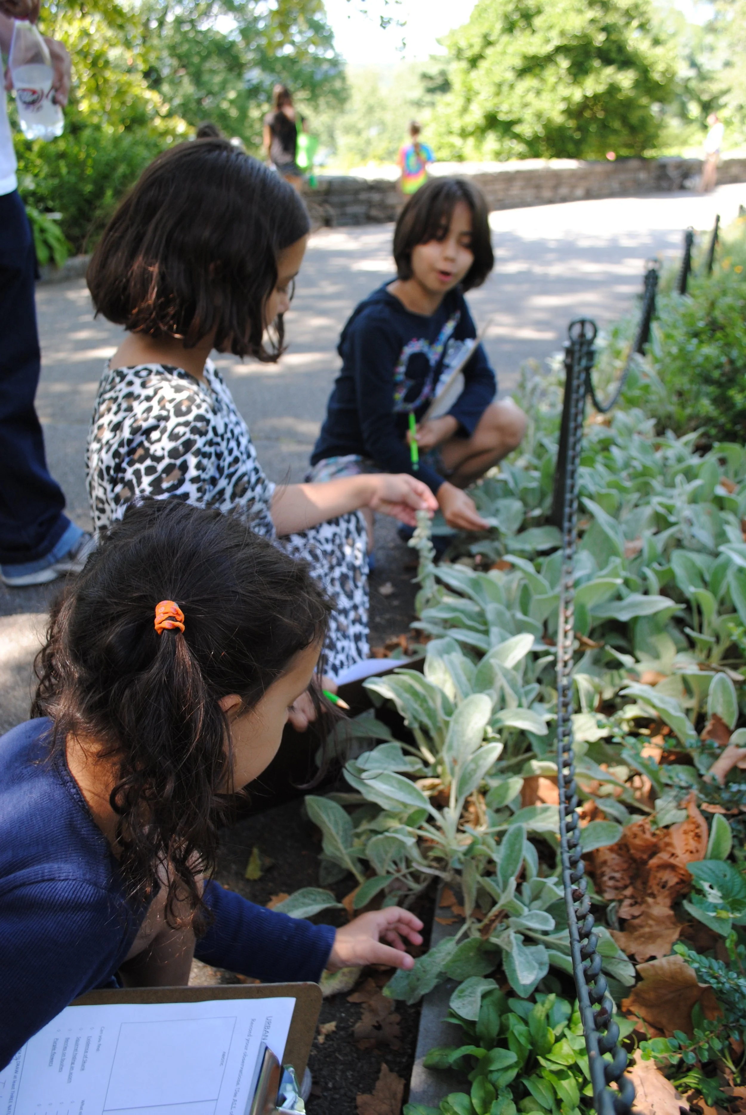 Young Peacebuilders: Practice Peace through Play 