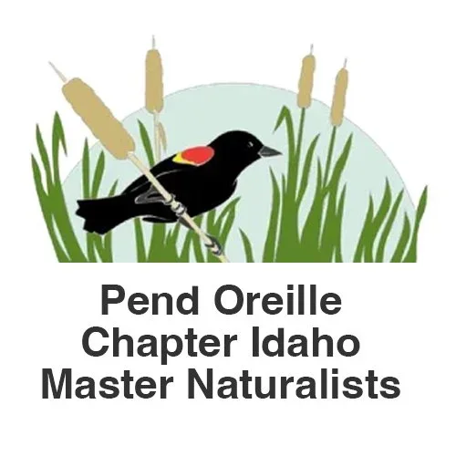 Pend Oreille Chapter Idaho Master Naturalists