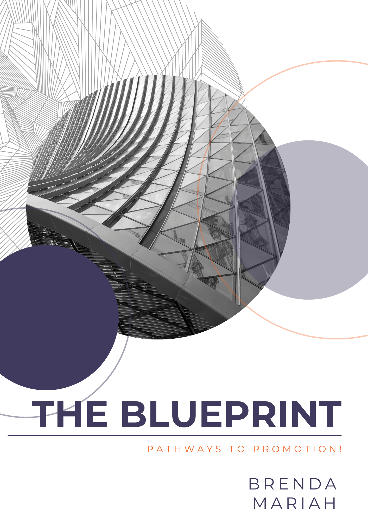 The Blueprint: Pathways to Promotion White Paper by Brenda Mariah