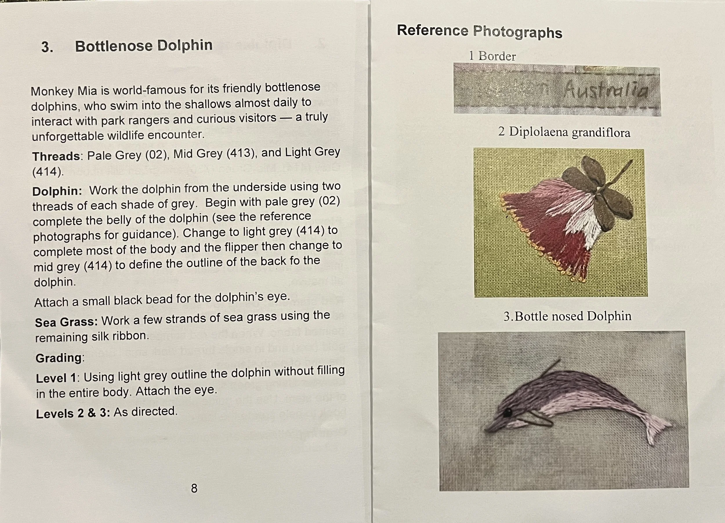 SharkBay MM Sample Instructions.jpeg