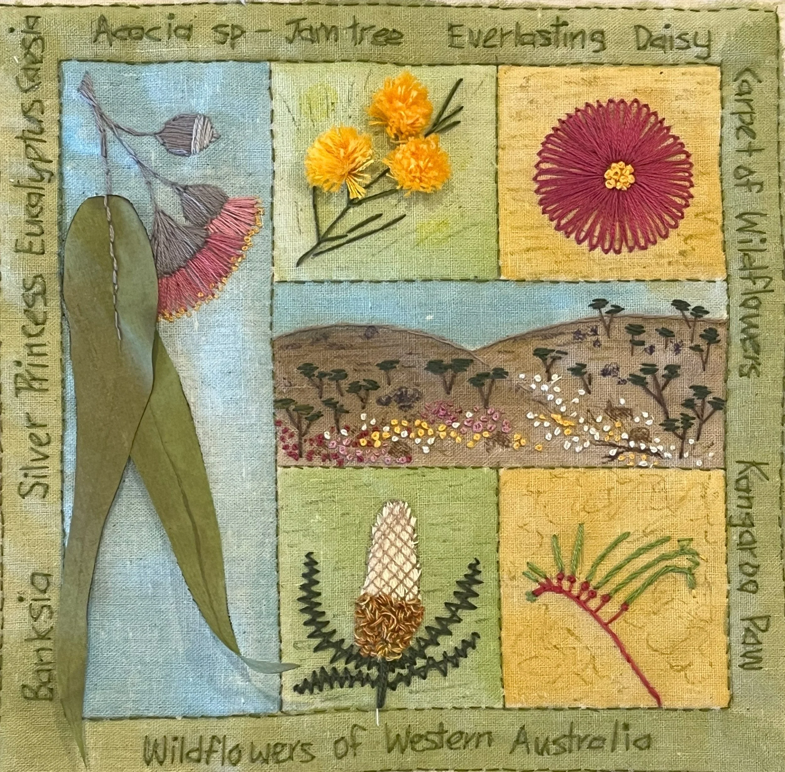 Wildflowers of Western Australia