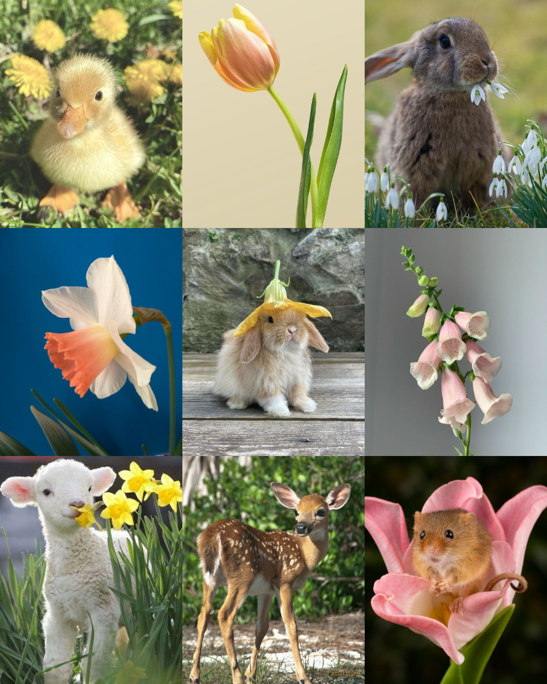 A4 Digital Mood board with imported images as an initial reference point. (2026)