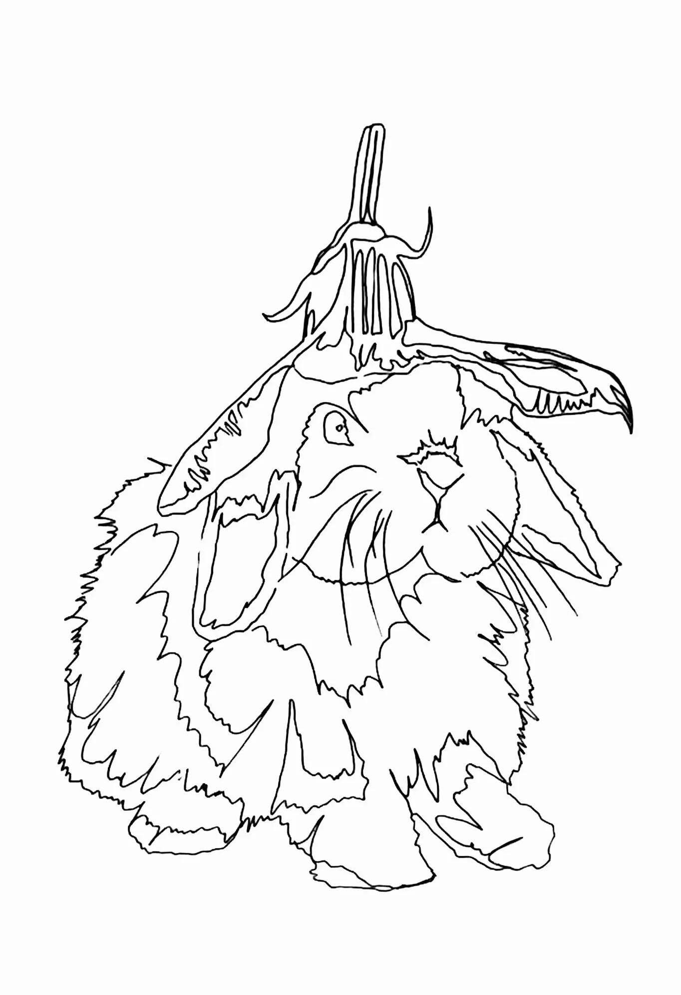 A4 Hand Drawn Outline Illustrations using a 0.1 fine line pen (2026)