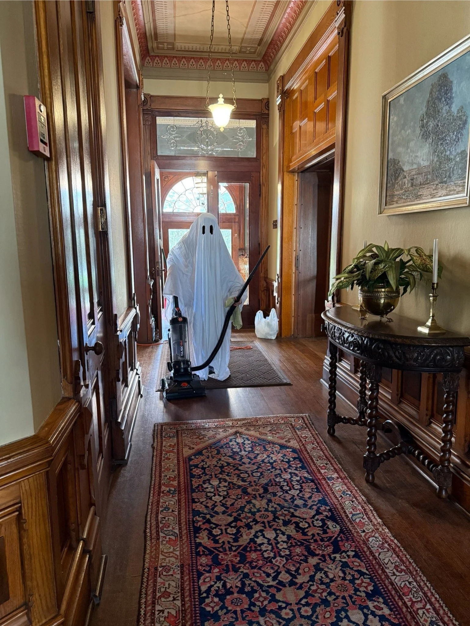 Ghosty is on the job! π»β¨
We had three wonderful volunteers along with the Ellwood House staff and Ghosty cleaning the mansion yesterday. She scared away cobwebs and made spooky noises with a vacuum! Mansion cleaning happens 2-3 times per year, befo