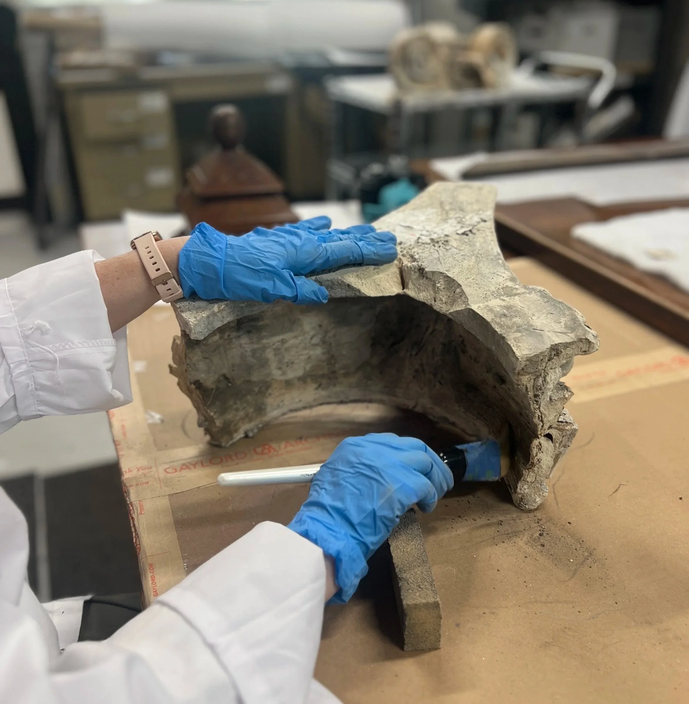 Behind the Scenes: Winter work at the Ellwood House