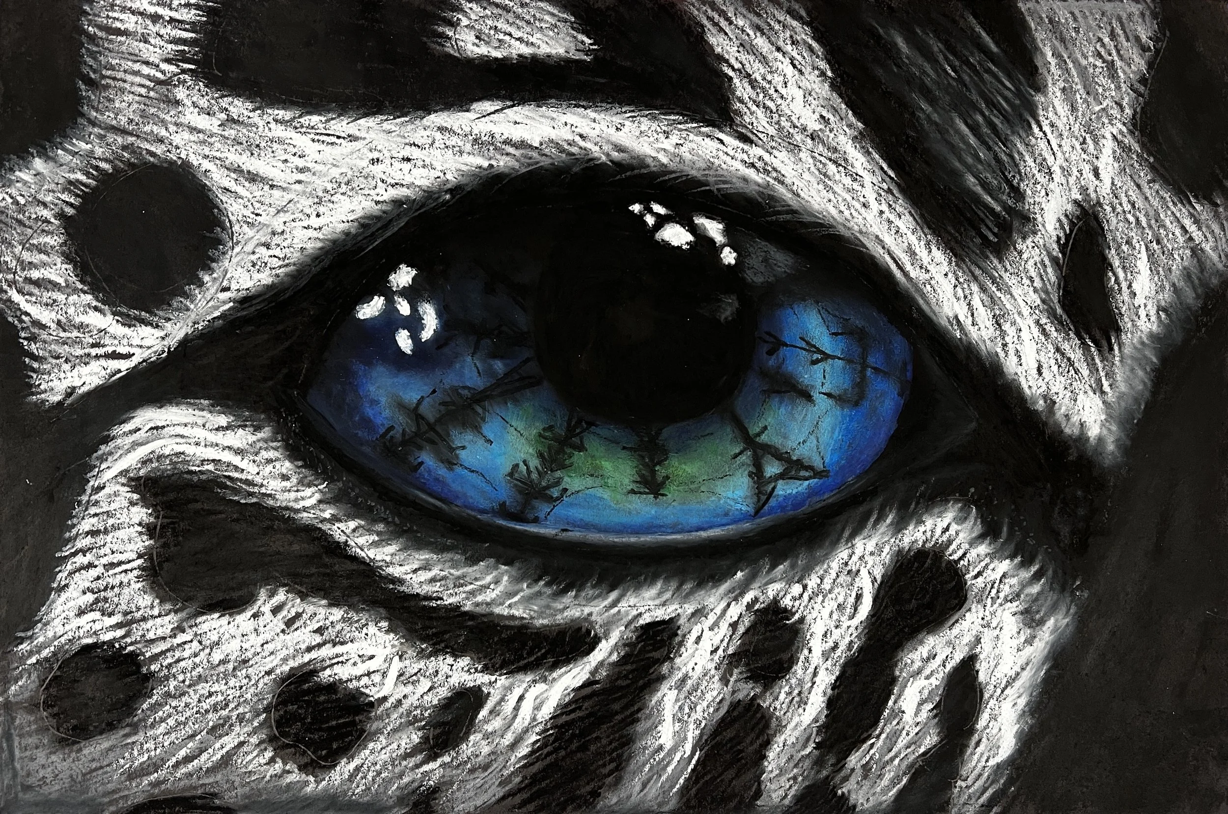 "Animal Eye" by Annaliesa Wylde | 7th Grade | Hinckley-Big Rock School District