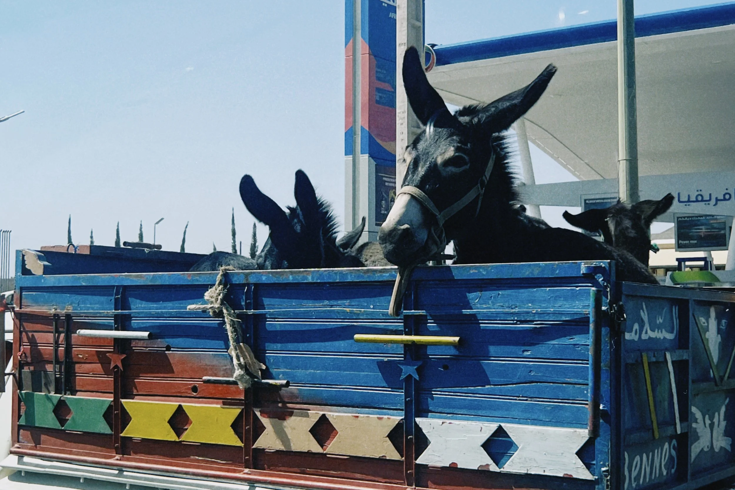 dclassic 2025-08-28 112228.670.JPG