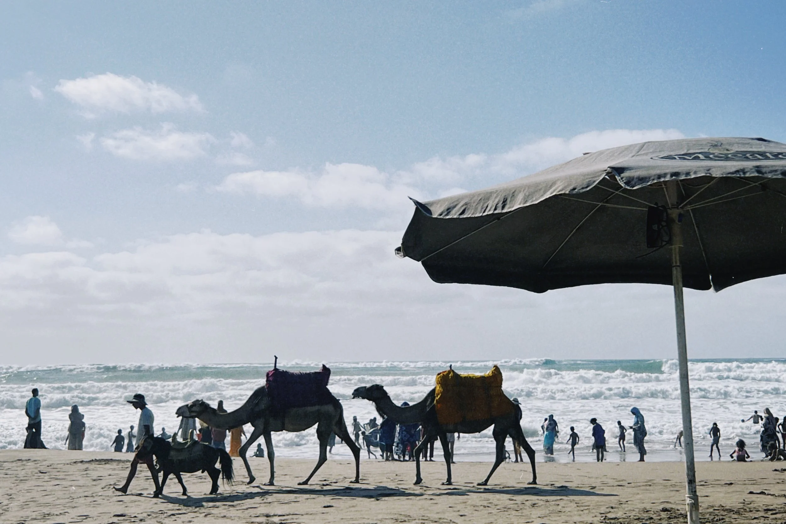 dclassic 2025-08-27 165656.772.JPG