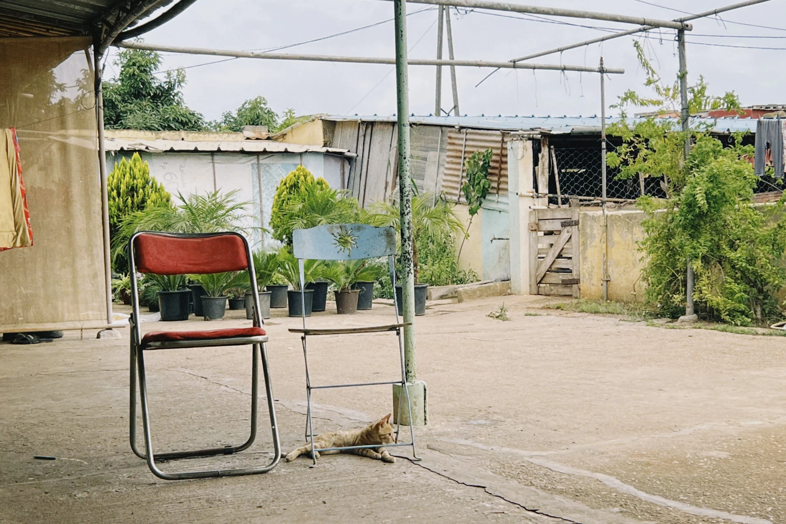 dclassic 2025-08-25 113922.584.JPG