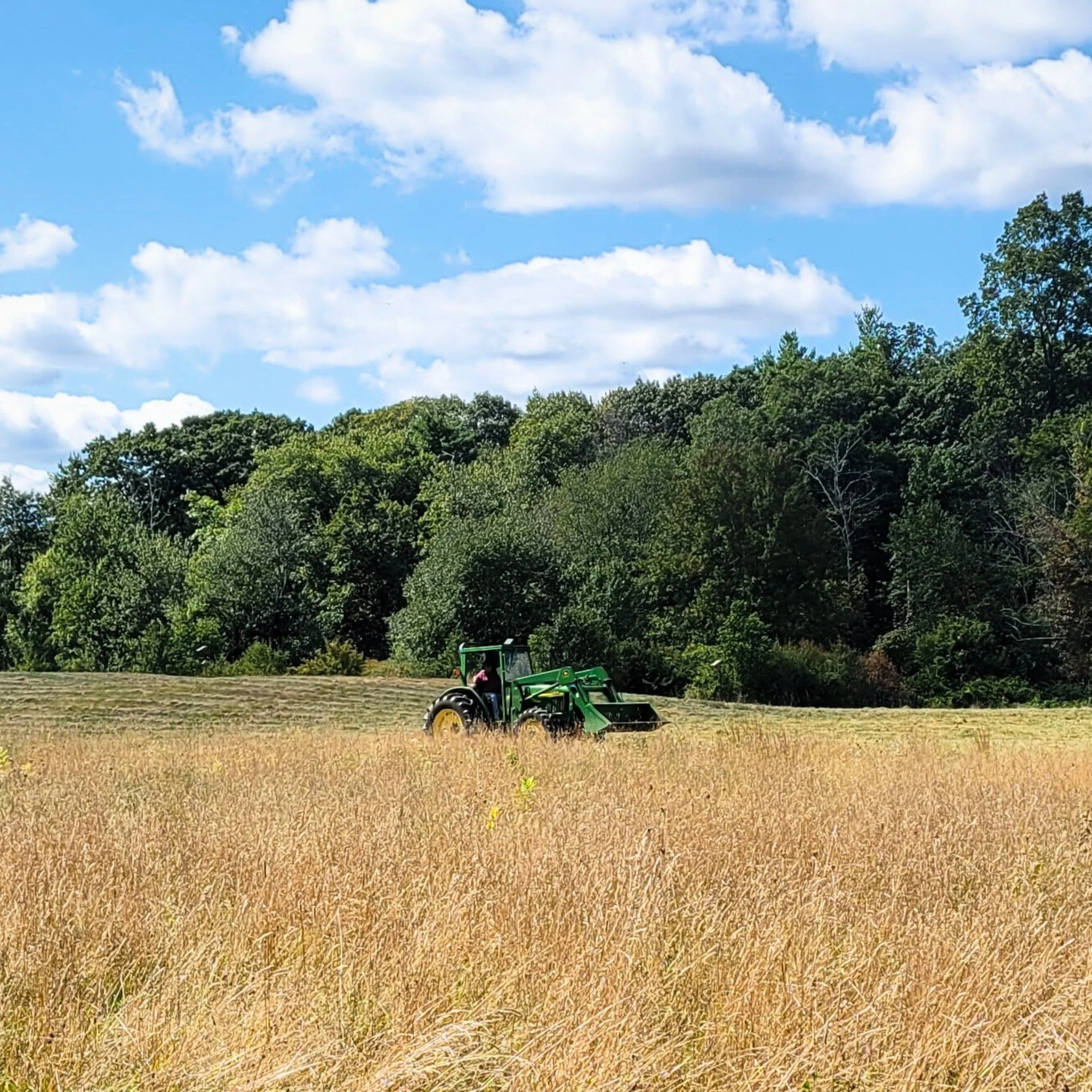 Session 5 | July 20-24