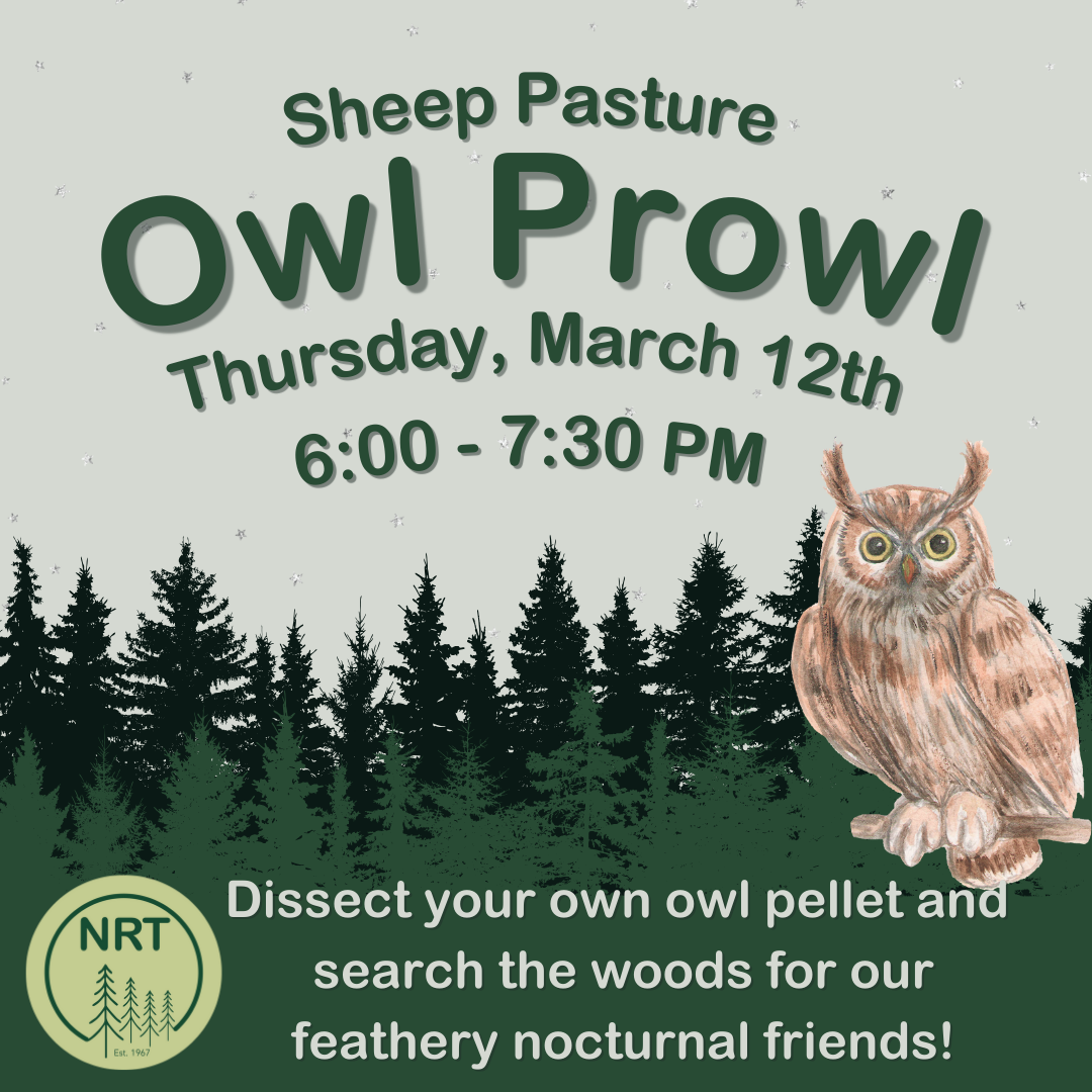 Owl Prowl Night Hike