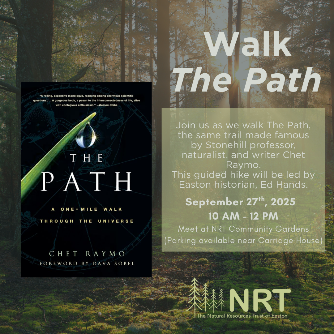 The Path: A Guided Hike at Sheep Pasture