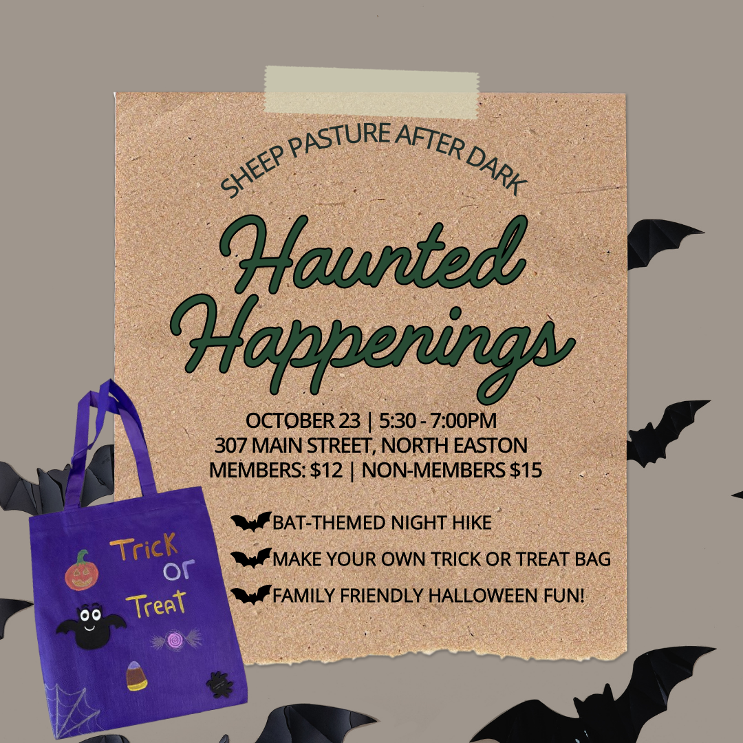 Sheep Pasture After Dark: Haunted Happenings