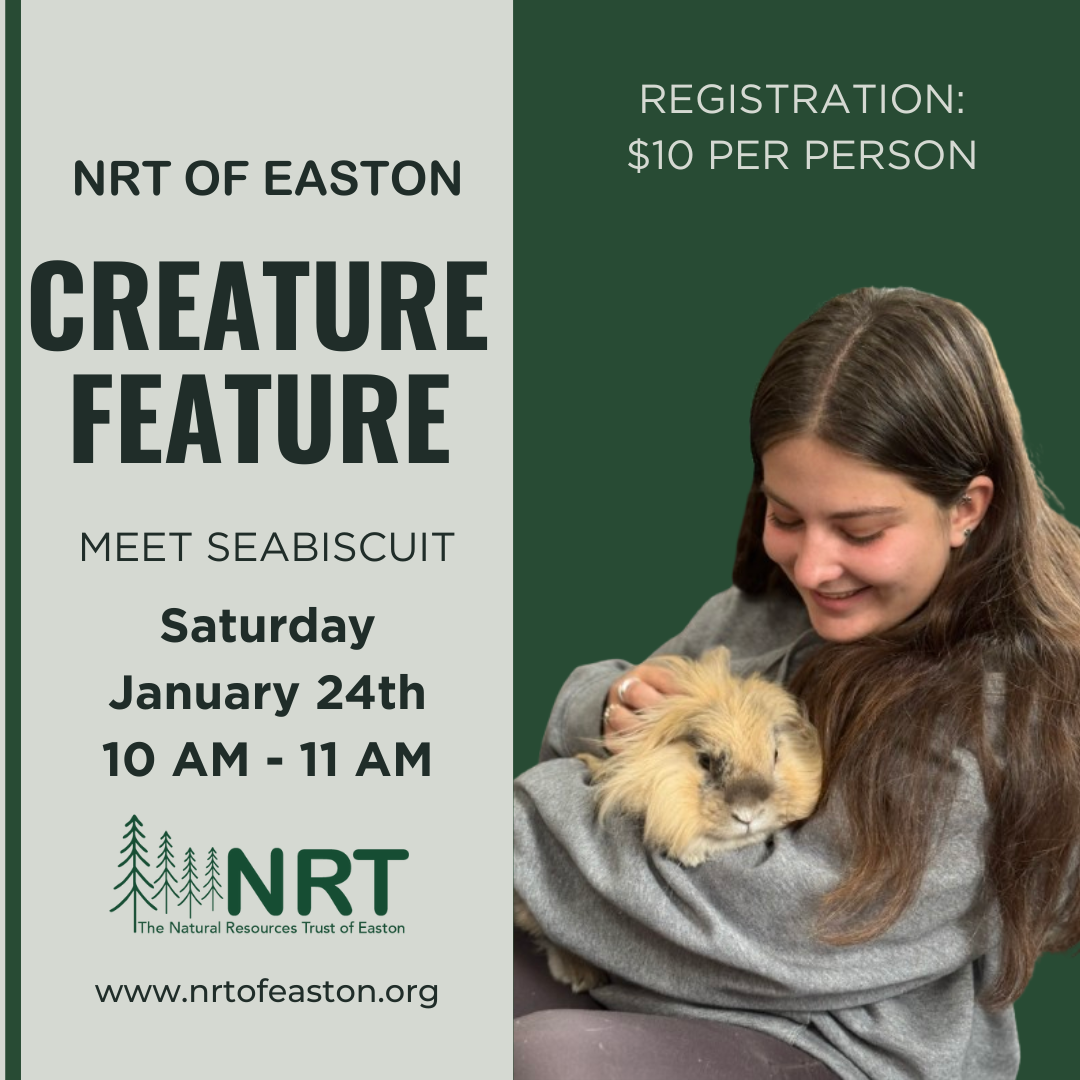 Sheep Pasture Creature Feature