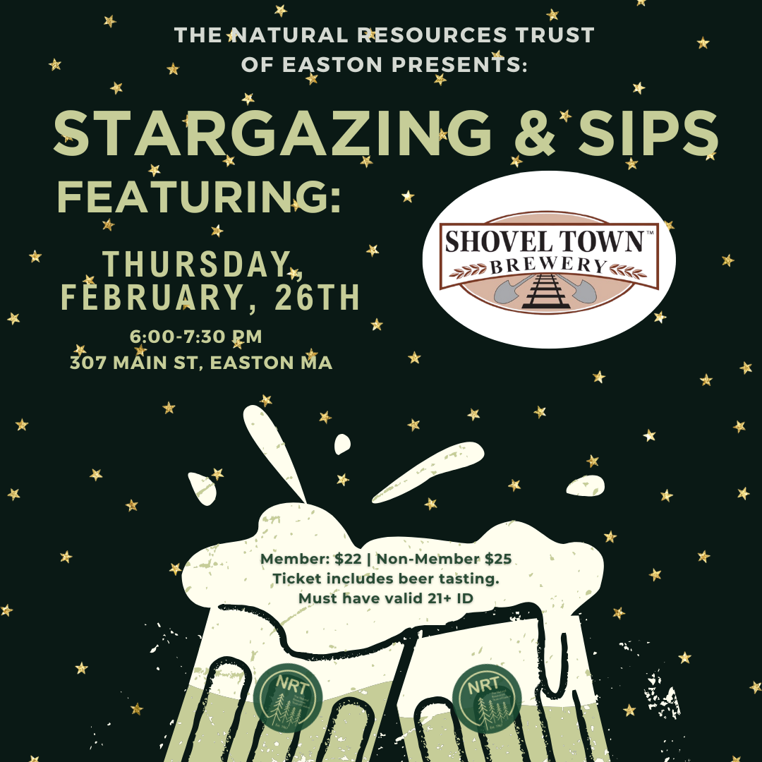 Stargazing and Sips (Adult Program 21+)