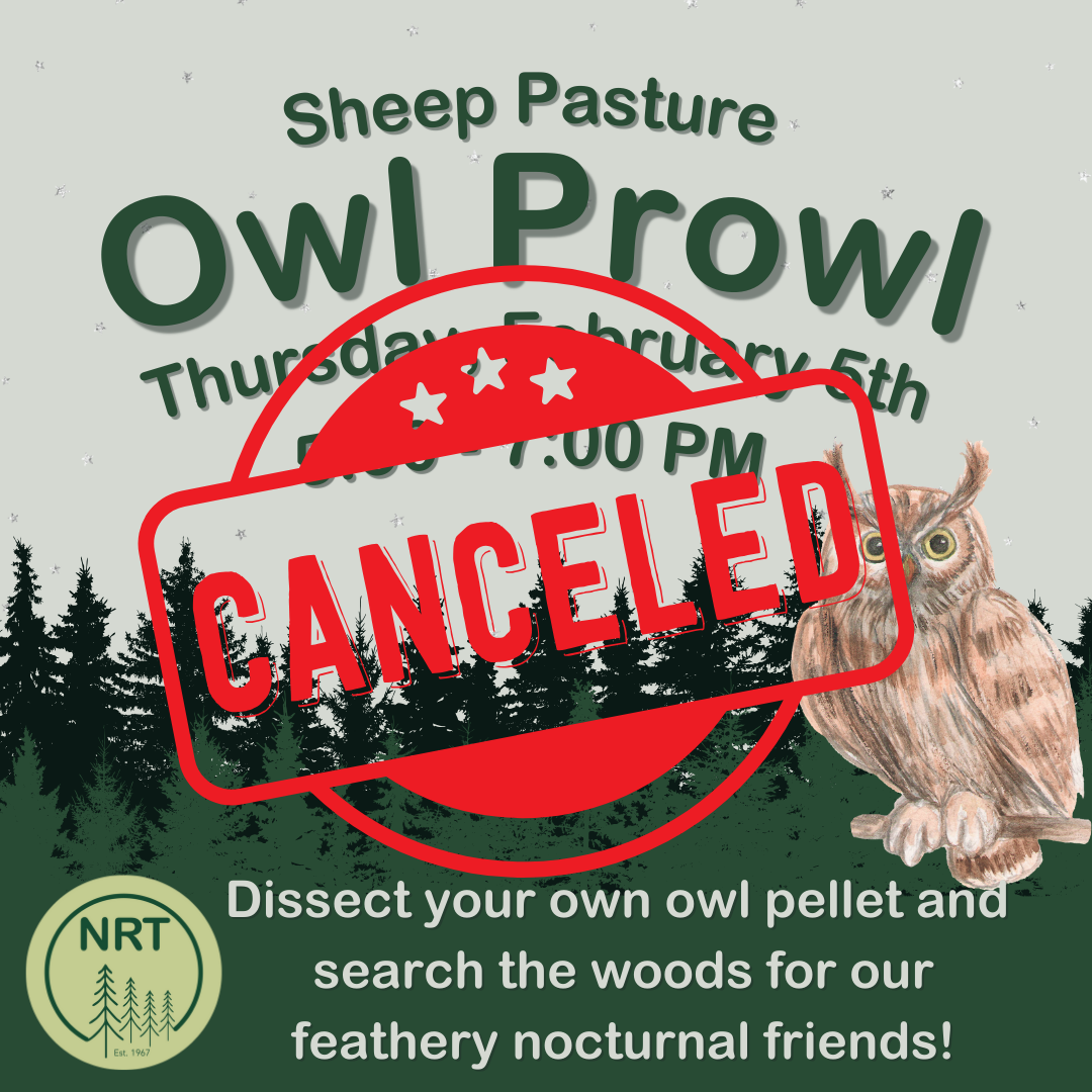 Sheep Pasture After Dark: Owl Prowl