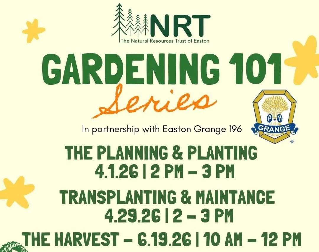Gardening 101 Series