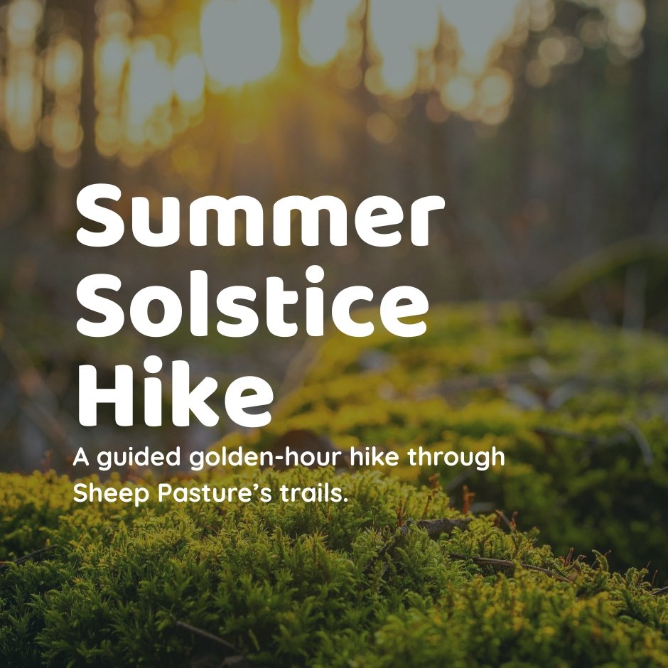  Summer Solstice Hike