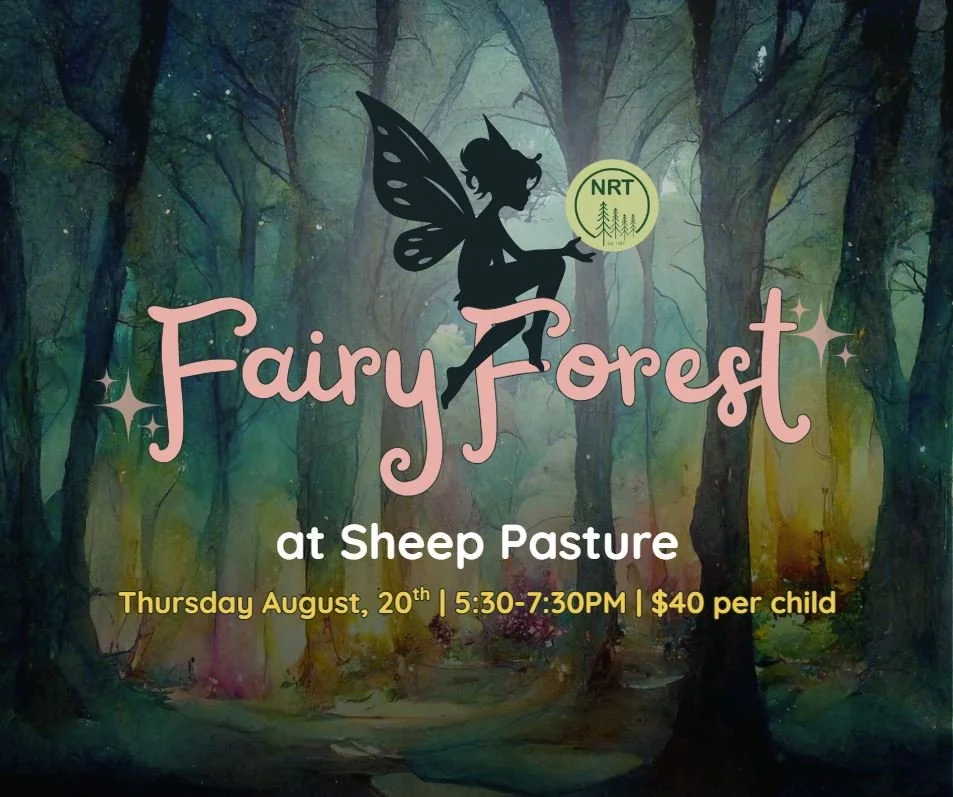 Fairy Forest at Sheep Pasture