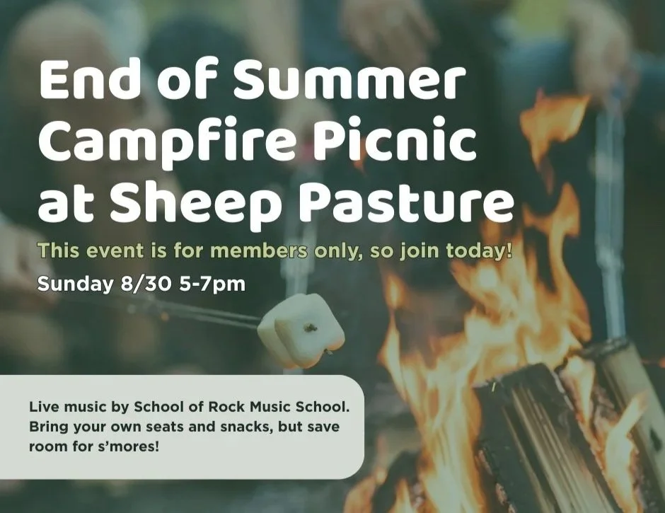 Summer Picnic for Members