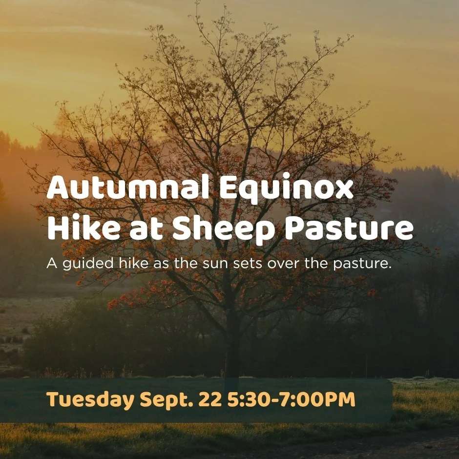 Autumnal Equinox Hike