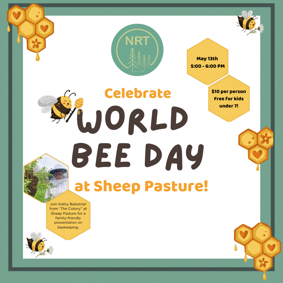 World Bee Day!