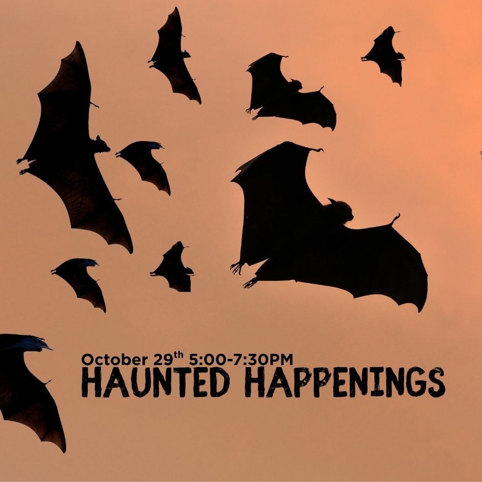 NRT_Haunted Happenings_website product.jpg