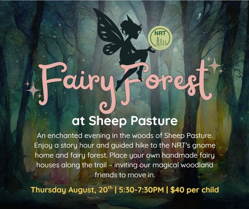 NRT_Fairy Forest_SG.JPG